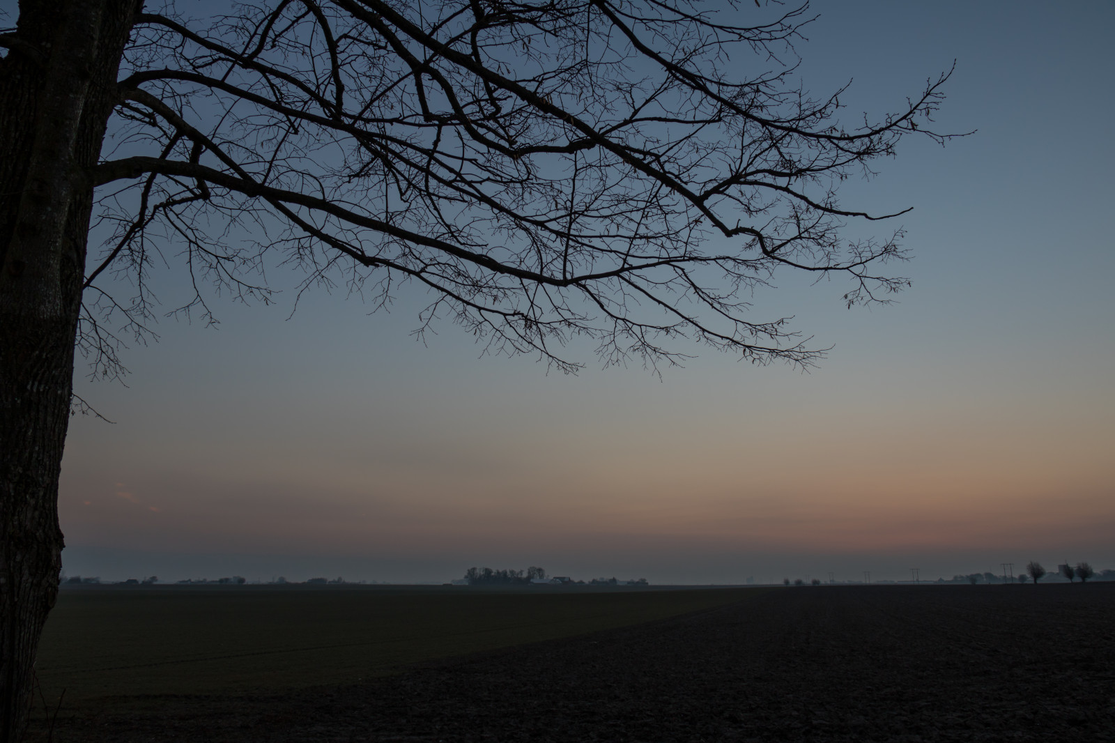 slunečnímu záření, krajina, západ slunce, Příroda, nebe, větev, svítání, večer, ráno, mlha, horizont, atmosféra, soumrak, opar, mrak, strom, mlha, počasí, svítání, rostlina, nebe, venkov, landsbygd, soluppg ng, s dersl tt, landskap, gryning, morgon, tma, atmosférický jev, dřevina