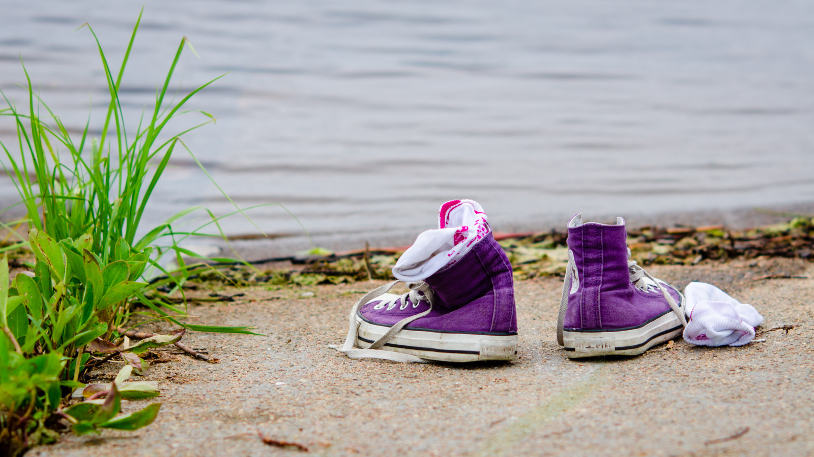 jezero, voda, tráva, ponožky, fotografování, nachový, fialový, obuv, levandule, Konverzovat, dovolená, rostlina, fotografie, plavat, střevíc, obuv, outdoor boty, Syymza, Danielezanni