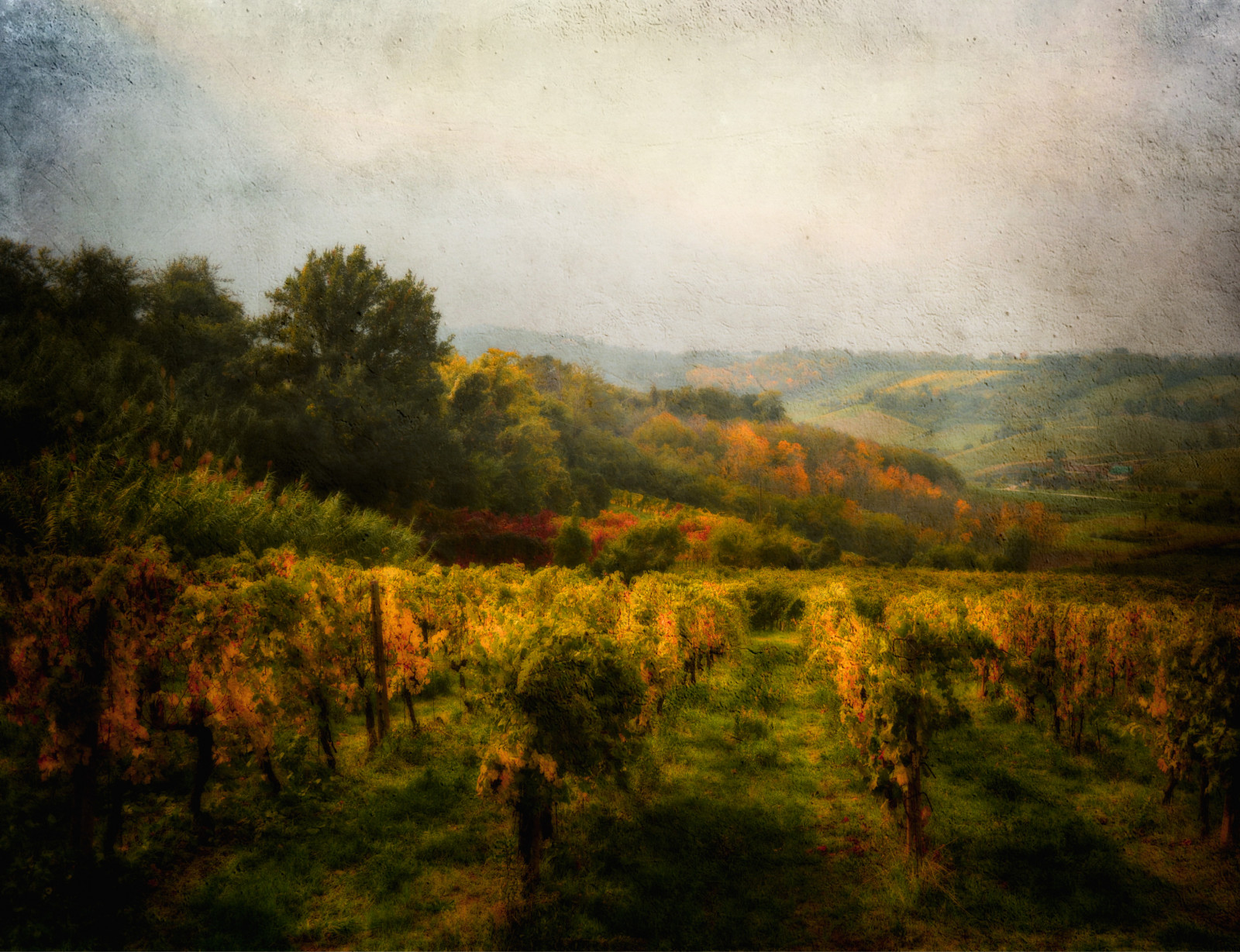 sollys, landskab, Skov, solnedgang, bakke, natur, afspejling, solopgang, aften, morgen, tåge, struktur, ødemark, 2013, Sky, træ, efterår, blad, daggry, sæson, eng, nikond3100, Autunno, bestcapturesaoi, verde, Campagna, paesaggio, besteverdigitalphotography, besteverexcellencegallery, skov, landdistrikt, levested, naturligt miljø, atmosfærisk fænomen, vedplante