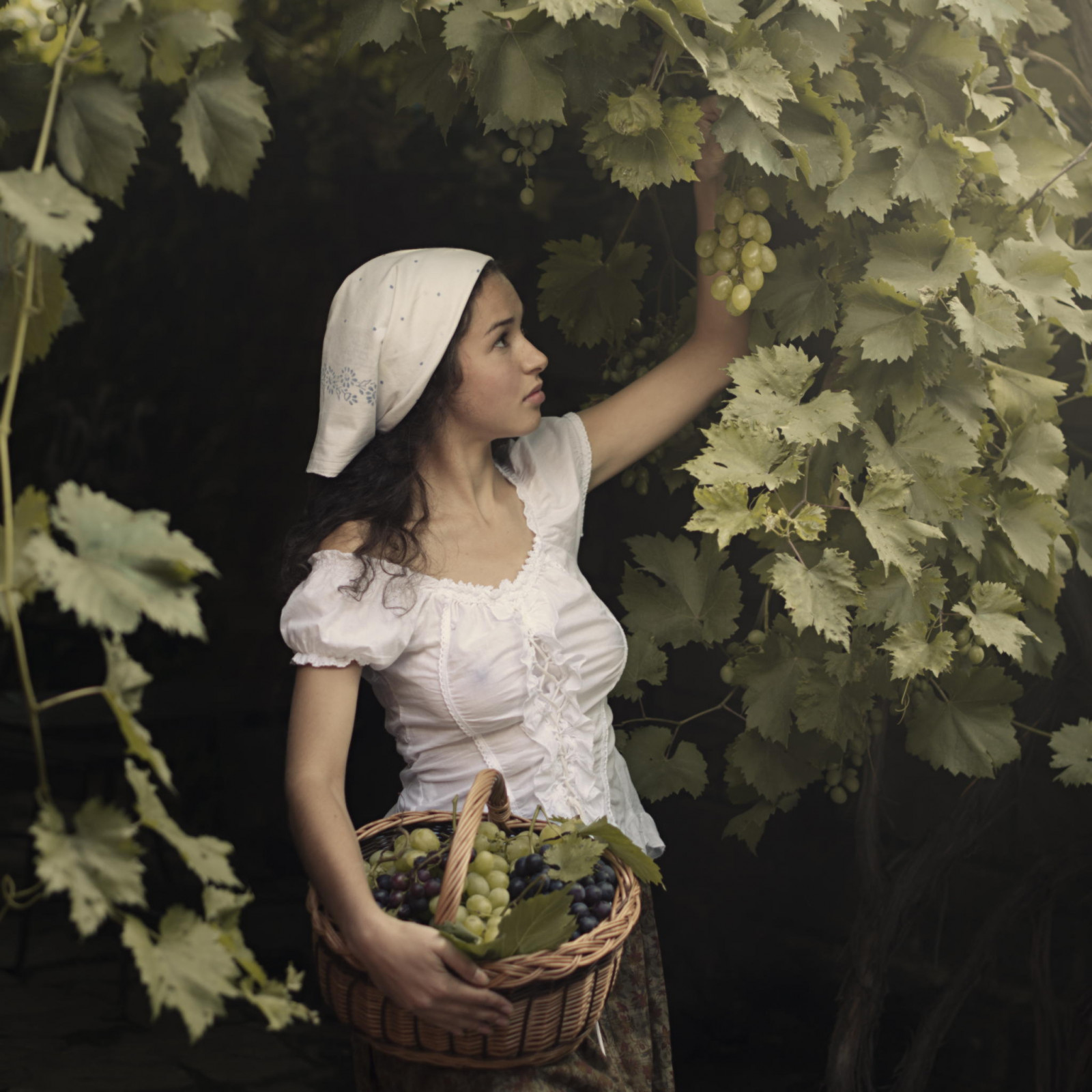 Erotika デスクトップ壁紙 : David Dubnitskiy, Woman Erotika, 衣服から乳首まで 2048x2048 -  forestsheep - 1241141 - デスクトップ壁紙 - WallHere