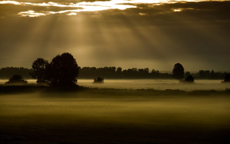 1920x1200 px,nuvole,paesaggi,campo,nebbia,nebbia