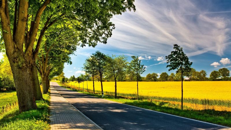 sunlight, landscape, nature, grass, park, field sunlight, landscape, nature, grass, park, field