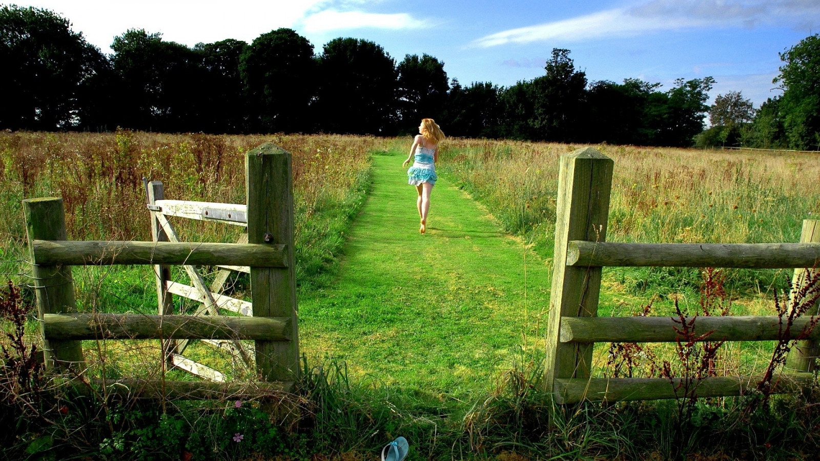 stromy, krajina, les, ženy, blondýnka, Příroda, naboso, tráva, park, pole, mraky, zelená, zpětný pohled, hospodařit, plot, Mini sukně, běh, strom, pastvina, zemědělství, louka, trávník, zálesí, půda, venkov, místo výskytu, přírodní prostředí