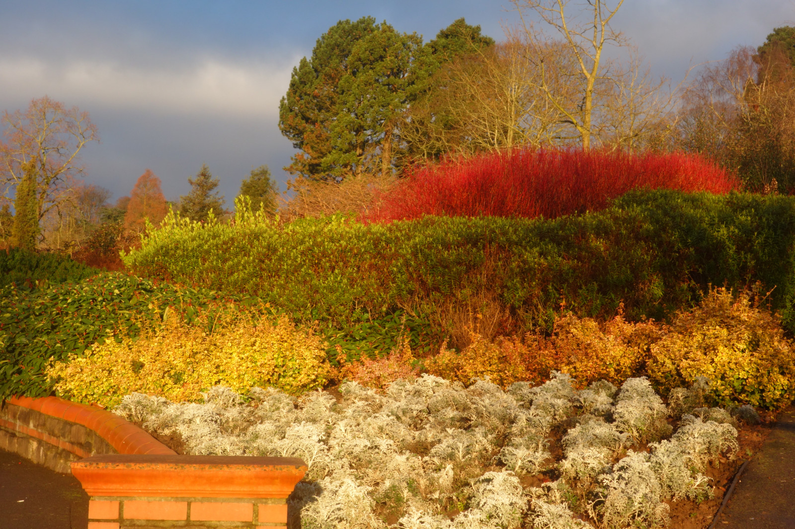 Wales, Gwent, Newport, park, Bellevue, cesta, stěna, stromy, Červené, žlutý, zelená, bílý, oranžový, nebe, počasí, světlo, odstín, stíny, citrit