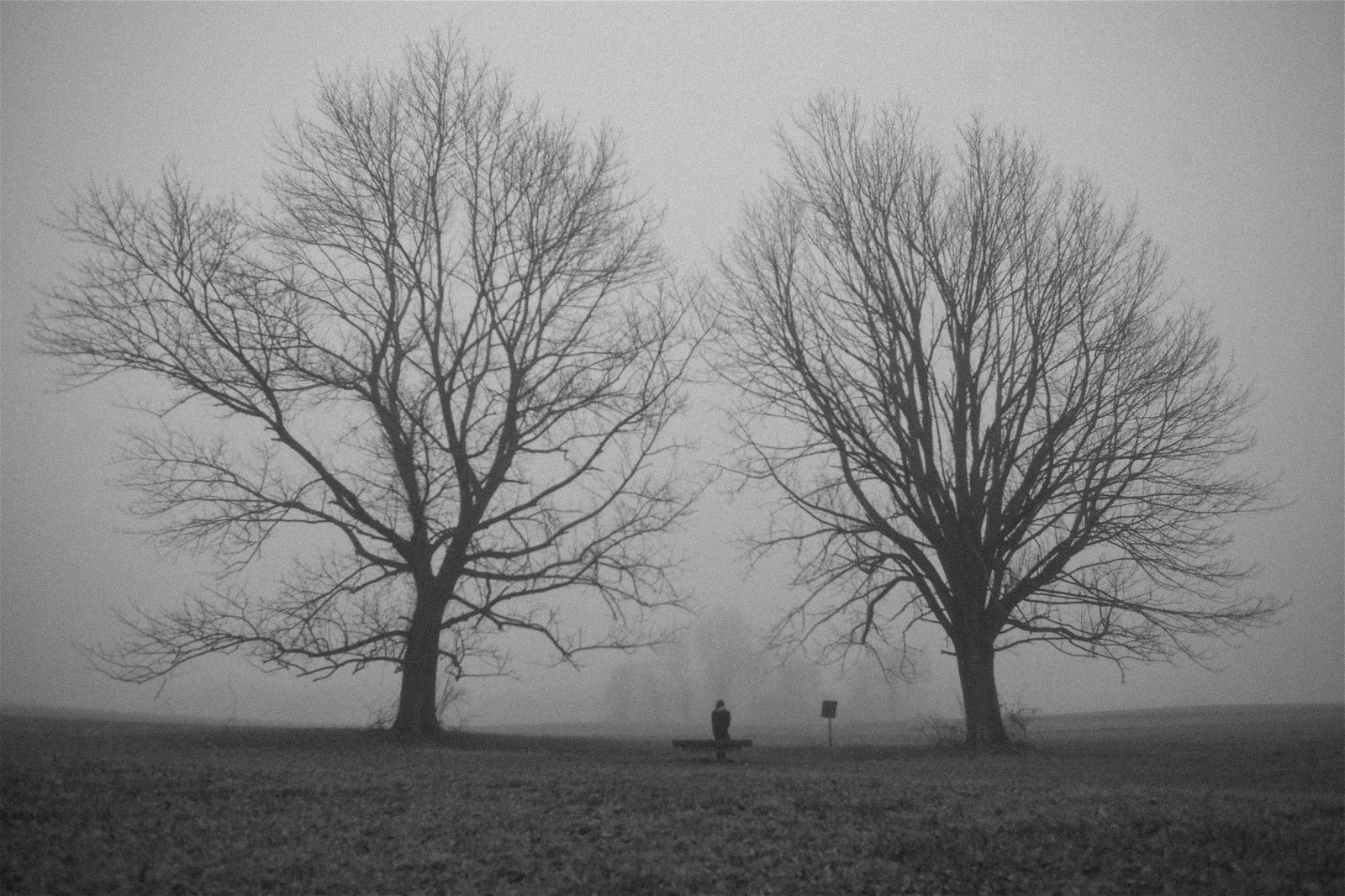 B, stromy, zima, tělesné, bílý, Černá, západ, pole, mlha, Kánon, objektiv, tři, strašidelný, Pennsylvania, d, označit, 5, w, 14, strašidelný, Chester, ii, l, 5 d, série, osamělý, 24mm, Stroud, zachovat, productions, ef, MKII, 3fp, Threefield, Threefieldcom