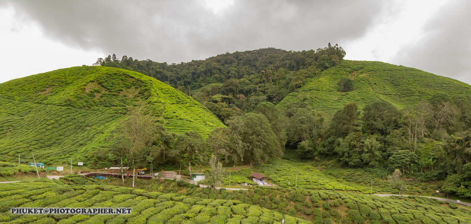 krajina, kopec, Příroda, budova, tráva, nebe, motocykl, pole, Dům, hotel, zelená, modrý, mlha, letovisko, údolí, čaj, Malajsie, džungle, Thajsko, plošina, mrak, strom, zvíře, cestovat, list, hora, květ, web, mě, síť, domů, terasa, výlet, zemědělství, cesta, plavba, phuket, moto, Leathes, cameron, vrchovina, geo, phuketian, Kedah, Stát, plantáž, vysočina, venkov, horských reliéf, pohoří, stanice hill