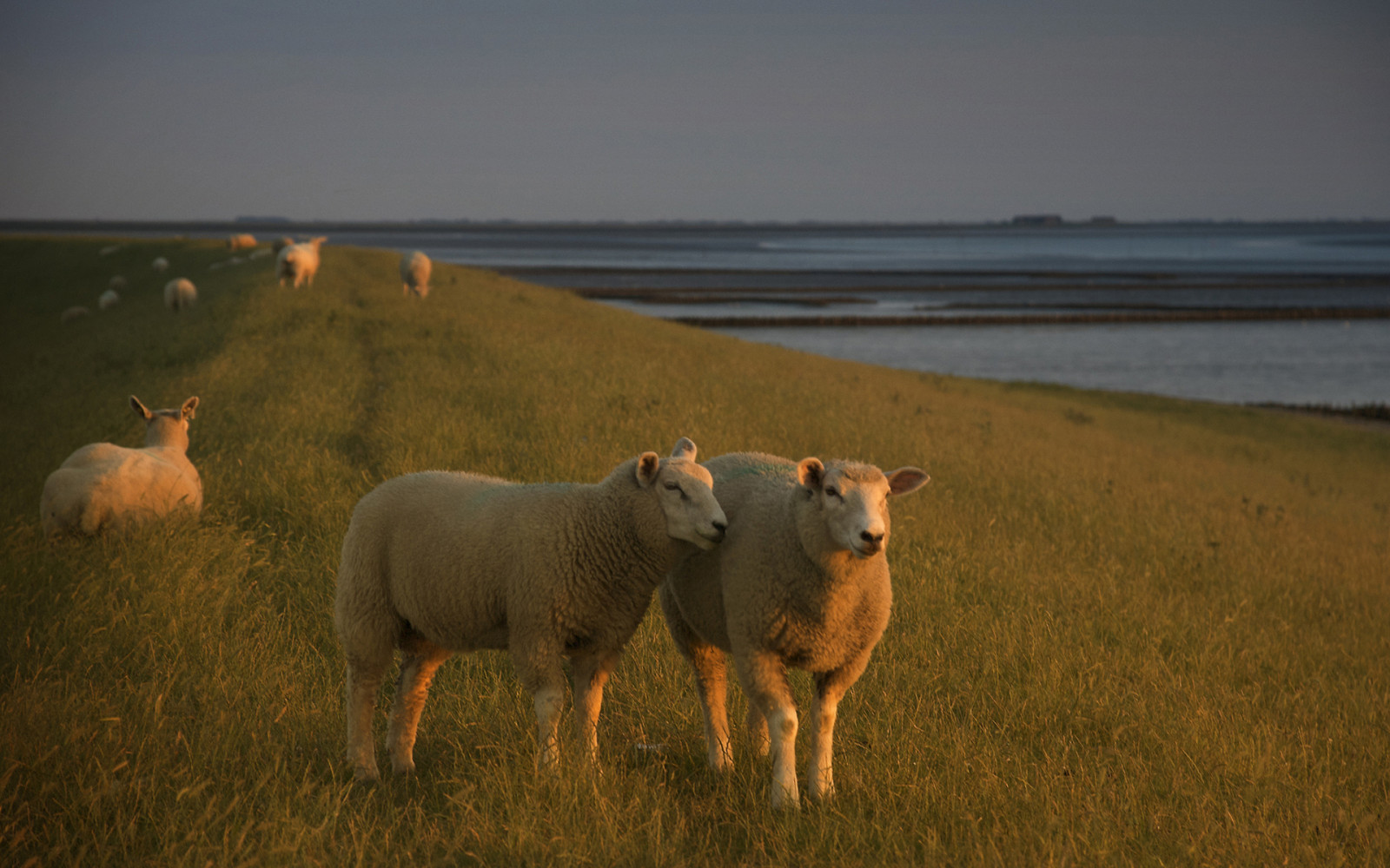 Wallpaper : 126858, 1920x1200 px 1920x1200 - 4kWallpaper - 1758647 - HD