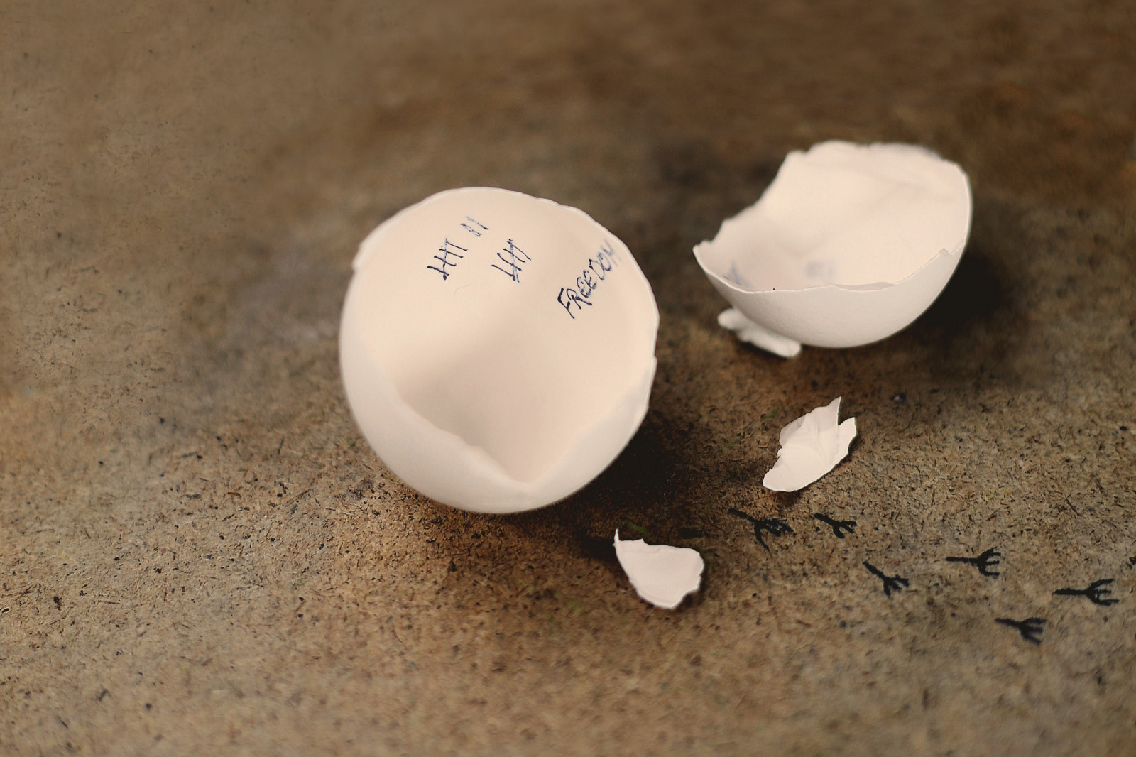 Wallpaper : white, food, eggs, hand, egg, material, foodart 3840x2560