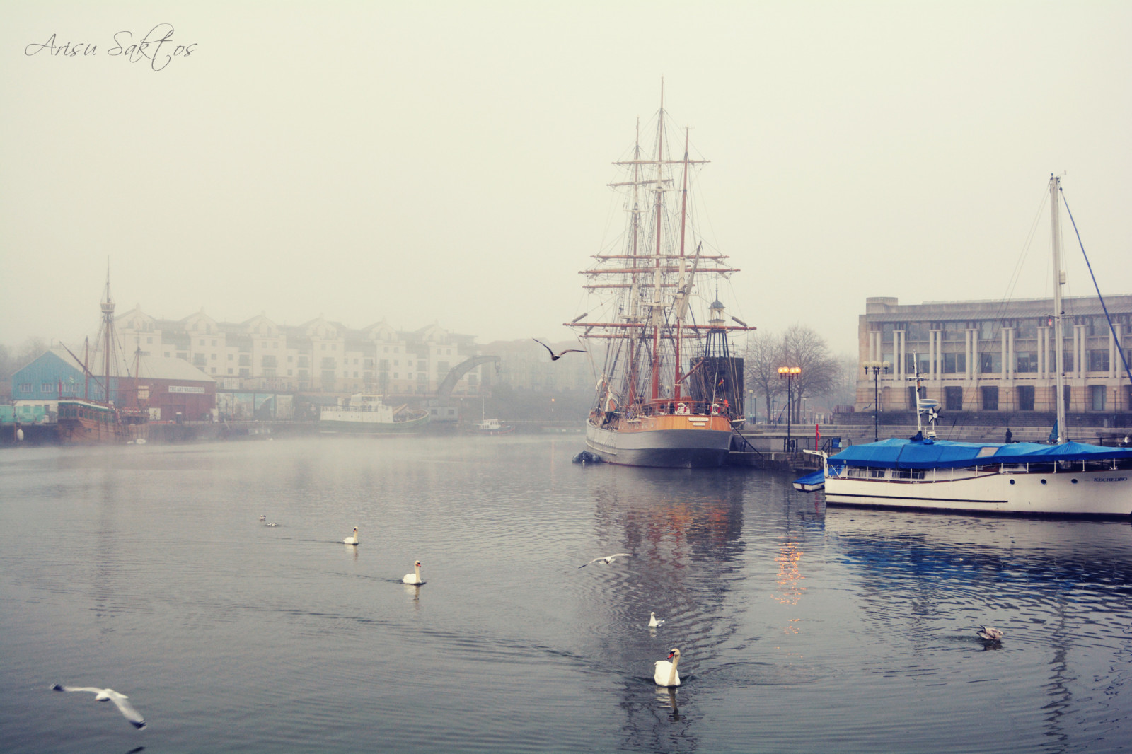 loď, loď, ptactvo, moře, záliv, voda, odraz, vozidlo, ráno, mlha, řeka, přístav, dok, kanál, infrastruktura, Bristol, Marina, počasí, hnutí, přístav, přístav, plavidlo, atmosférický jev, vodní