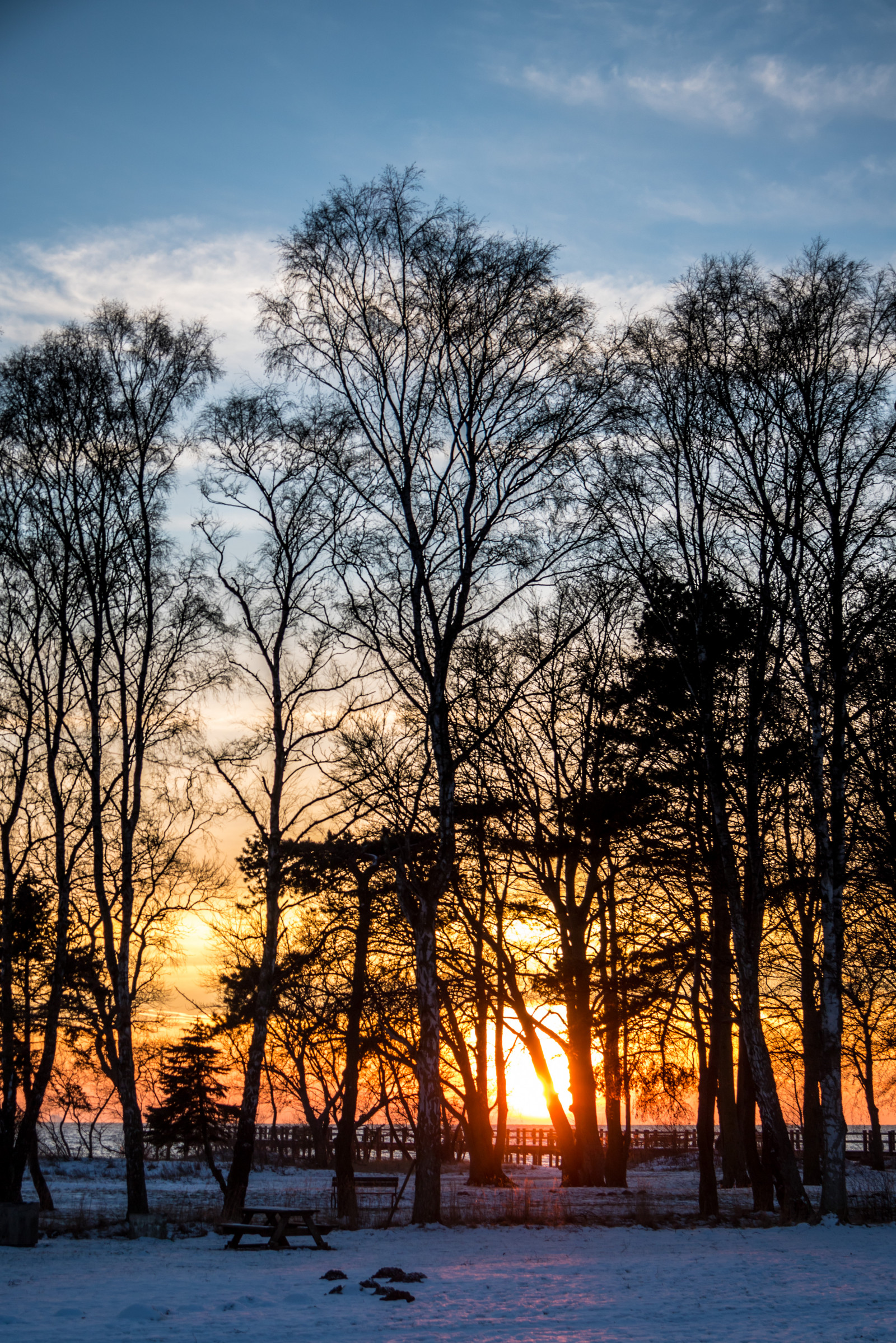 slunečnímu záření, krajina, les, západ slunce, Příroda, odraz, nebe, sníh, zima, větev, svítání, večer, ráno, mráz, slunce, soumrak, zmrazení, mrak, strom, podzim, počasí, svítání, rostlina, sezóna, solnedg ng, sn, Vinter, tr d, exif modelu canoneos760d, geocountry, Kamera aby kánon, geocity, Model fotoaparátu canoneos760d, geostate, geolocation, EXIF čočka efs18200mmf3556is, EXIF otvor 56, exif aby kánon, EXIF isospeed 100, dalabadet, exif focallength 50mm, atmosférický jev, dřevina