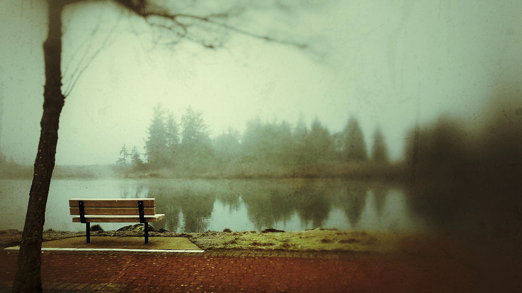 slunečnímu záření, krajina, voda, odraz, nebe, zima, dřevo, uklidnit, ráno, mlha, lavice, atmosféra, Kanada, 2017, mrak, strom, mlha, Trojzubec, Snapseed, vancouverisland, Britská Kolumbie, happybenchmonday, jev, fotoaparátem, theadventurebeforedementiatour, thebearden, thebeardenphotography, Port Alberni, Samsunggalaxys7, Grungestyle1454, Somassriver