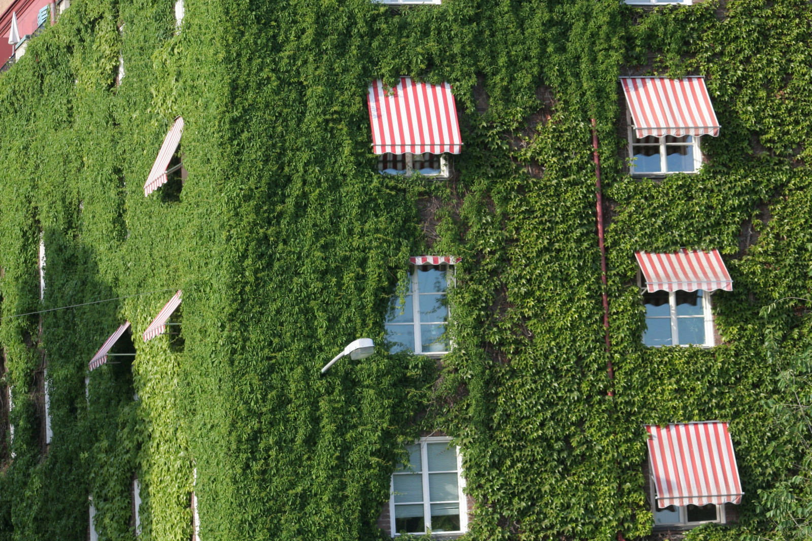 Fond d'écran fenêtre, jardin, herbe, maison, vert, Stockholm, Suède