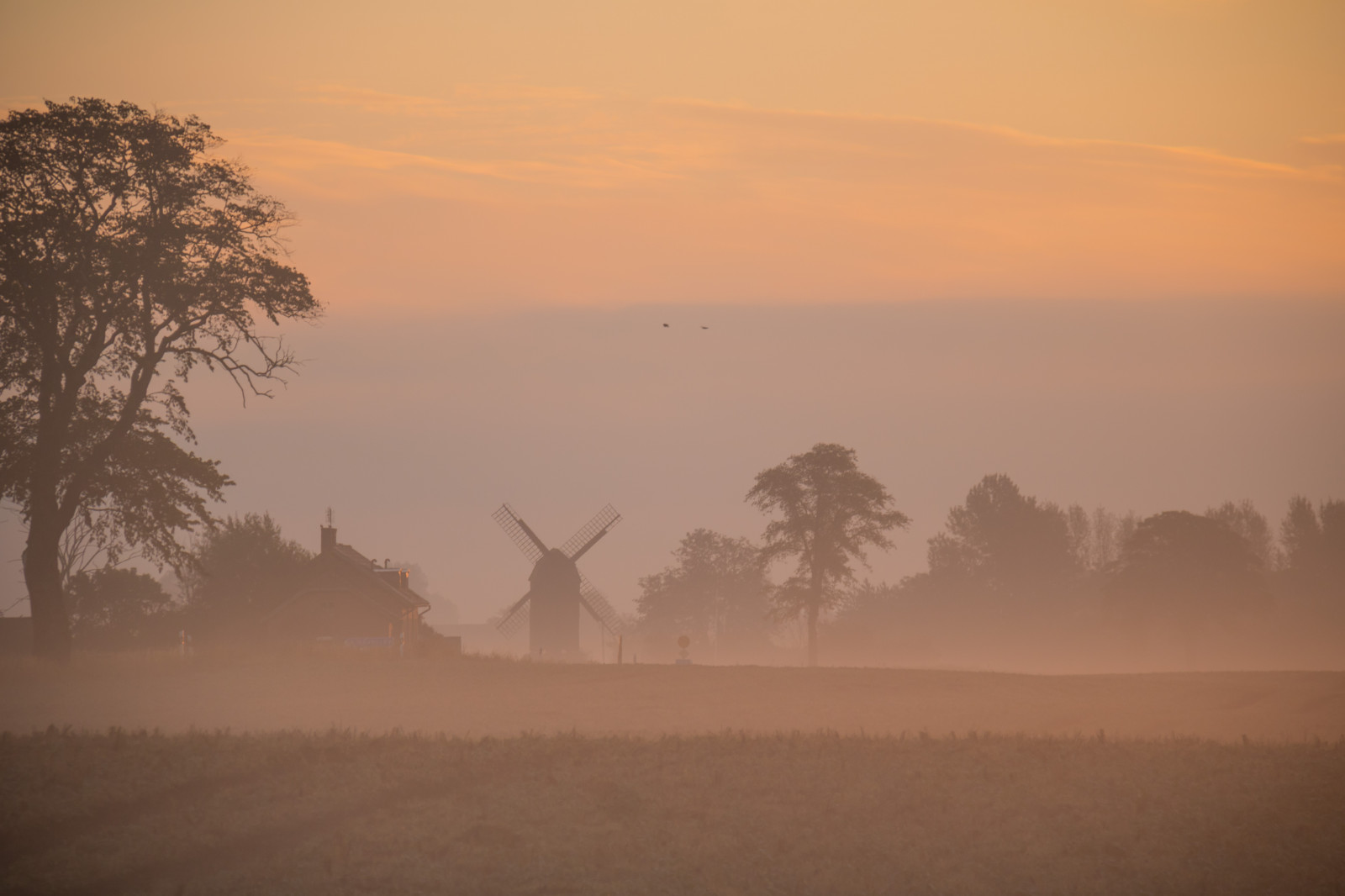 krajina, západ slunce, kopec, Příroda, svítání, večer, ráno, mlha, horizont, atmosféra, soumrak, opar, mlha, počasí, svítání, dimma, venkov, landsbygd, soluppg ng, s dersl tt, landskap, gryning, exif modelu canoneos760d, geocountry, Kamera aby kánon, geocity, Model fotoaparátu canoneos760d, geostate, geolocation, EXIF čočka efs18200mmf3556is, EXIF otvor 56, exif aby kánon, EXIF isospeed 125, exif focallength 145mm, morgon, prostý, prérie, atmosférický jev, savana
