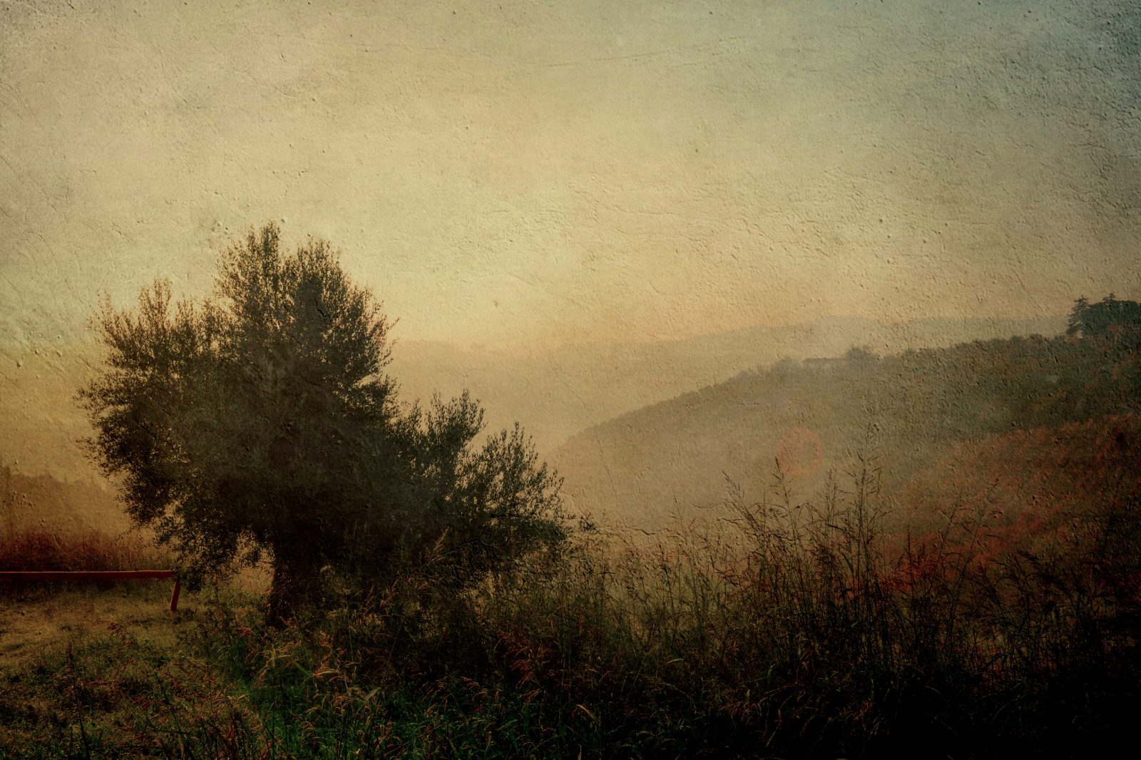 slunečnímu záření, les, západ slunce, kopec, Příroda, odraz, tráva, nebe, svítání, večer, ráno, mlha, textura, atmosféra, Nikon, 2014, mrak, strom, podzim, mlha, list, počasí, svítání, D3100, tma, Campagna, paesaggio, alberi, Colline, venkov, místo výskytu, atmosférický jev, dřevina, Romagna, pittorico