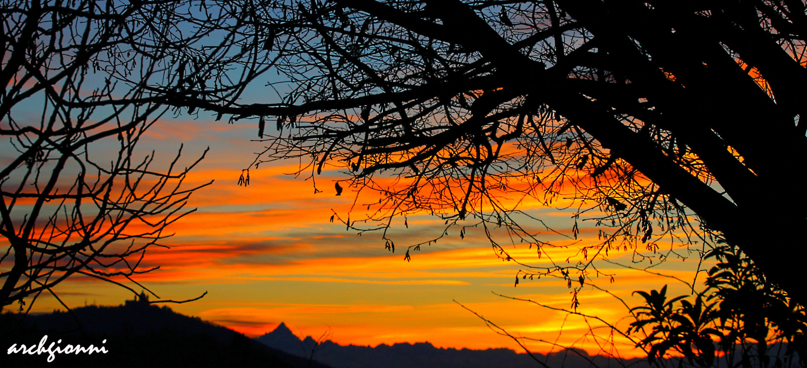 slunečnímu záření, stromy, krajina, les, západ slunce, Itálie, Příroda, nebe, silueta, mraky, větev, svítání, večer, ráno, slunce, oranžový, horizont, atmosféra, soumrak, Tramonto, mrak, strom, podzim, list, svítání, Italia, cielo, Béžová, arancione, alberi, nuvole, piemonte, foglie, počítač tapeta, odlesk, červená obloha v dopoledních hodinách, rami, theinspirationgroup, Monviso, Superga, stock photography