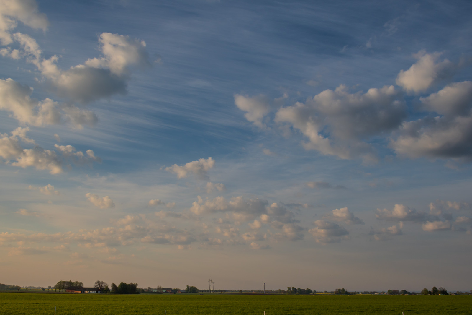 luce del sole, paesaggio, tramonto, natura, erba, cielo, campo, Alba, sera, mattina, orizzonte, crepuscolo, nube, alba, prateria, himmel, campagna, landsbygd, soluppg ng, s dersl TT, Landskap, Norra by, Gryning, prato, pianura, prateria, area rurale, fenomeno meteorologico, cumulo