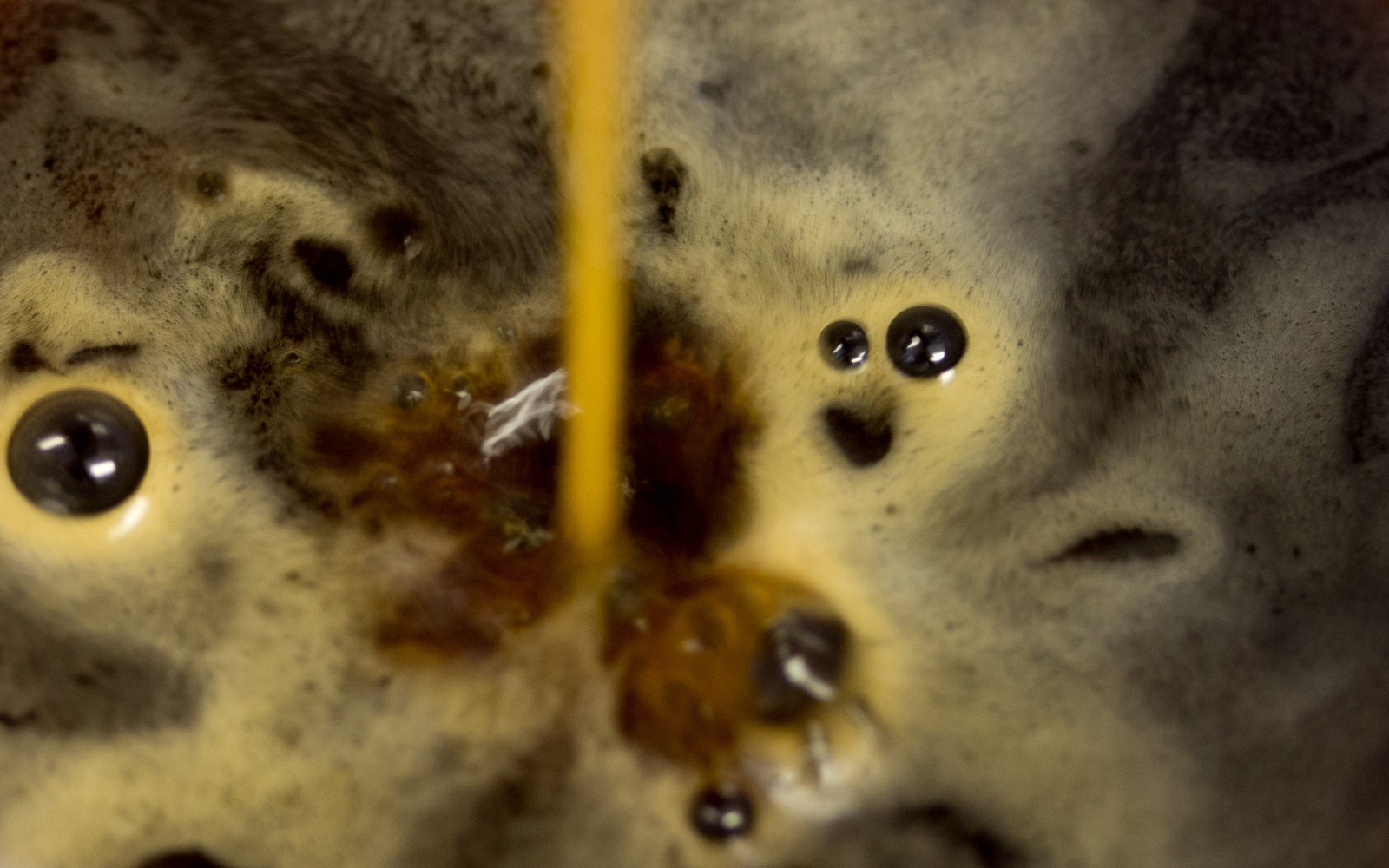 Wallpaper coffee, drink, underwater, bubbles, foam, nose, head, eye