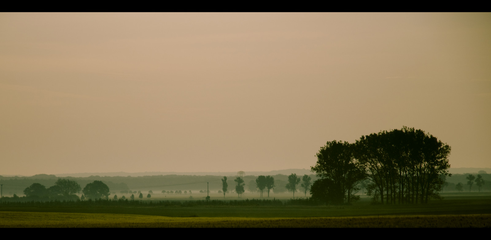 slunečnímu záření, stromy, krajina, kopec, Příroda, tráva, nebe, stín, pole, nachový, svítání, zelená, modrý, večer, ráno, mlha, hnědý, slunce, hospodařit, horizont, atmosféra, Nikon, jaro, životní prostředí, opar, leipzig, světlo, mrak, strom, mlha, Landschaft, svítání, lučina, mygearandme, nebe, pastvina, nárazy, nebe, rosa, Sonnenaufgang, louka, prostý, syn, wow1, wow2, blau, licht, fotografie, Schatten, b UME, gelb, prérie, morgen, venkov, dřevina, braun, jev, ekoregion, Fruhling, Grimma, Threna