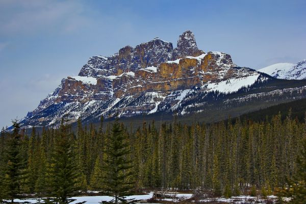 trees,sky,mountain,snow,mountains,nature
