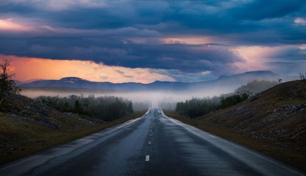 trees, landscape, mountains, sunset, sunlight, hill