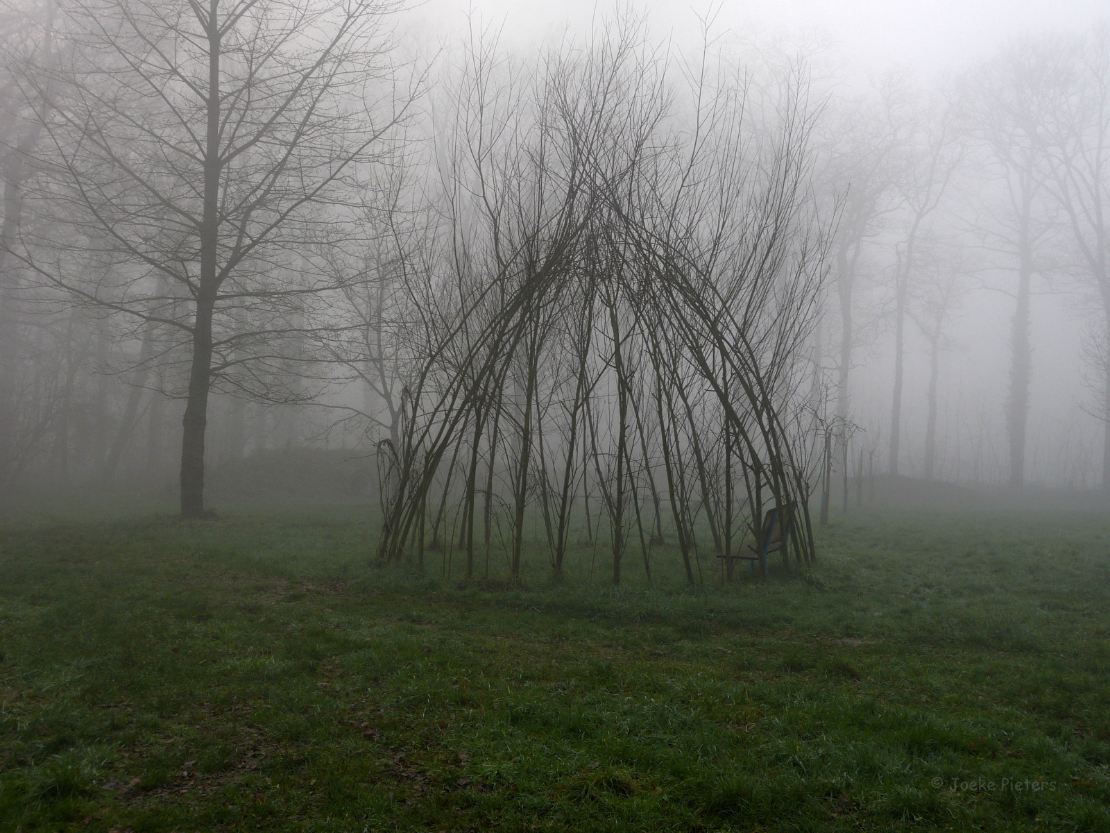 slunečnímu záření, stromy, les, Příroda, tráva, zima, větev, zelená, ráno, mlha, Nizozemí, opar, Holandsko, strom, mlha, list, počasí, rostlina, sezóna, mygearandme, mygearandmepremium, mygearandmebronze, nederland, Winterswijk, Gelderland, zálesí, panasonicdmcfz150, Bomen, venkov, místo výskytu, přírodní prostředí, atmosférický jev, dřevina, altánek, Achterhoek, hřídel, hřídel, prieel, brinkheurne, 1130180