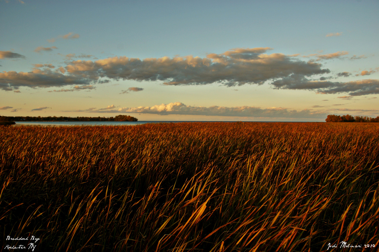 slunečnímu záření, krajina, západ slunce, voda, Příroda, tráva, nebe, park, venku, pole, mraky, žlutý, modrý, večer, ráno, Volně žijících živočichů, oranžový, horizont, Sony, Řecko, soumrak, pšenice, mrak, strom, sklizeň, svítání, lučina, osvětlení, mimo, ny, zemědělství, louka, prostý, Rochester, prérie, oříznutí, ekosystém, tráva rodina, meteorologický jev, zboží, ekoregion, A350, braddockbay