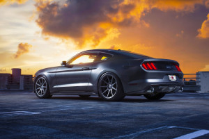 Ford (Форд) - полный каталог моделей Ford