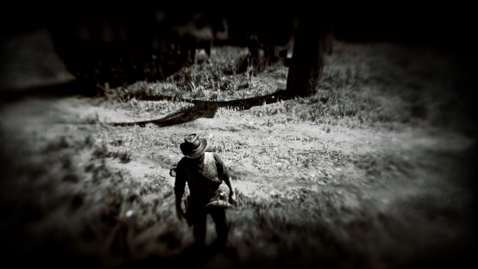 Red Dead Redemption 2, západní, Video Game Art, krajina