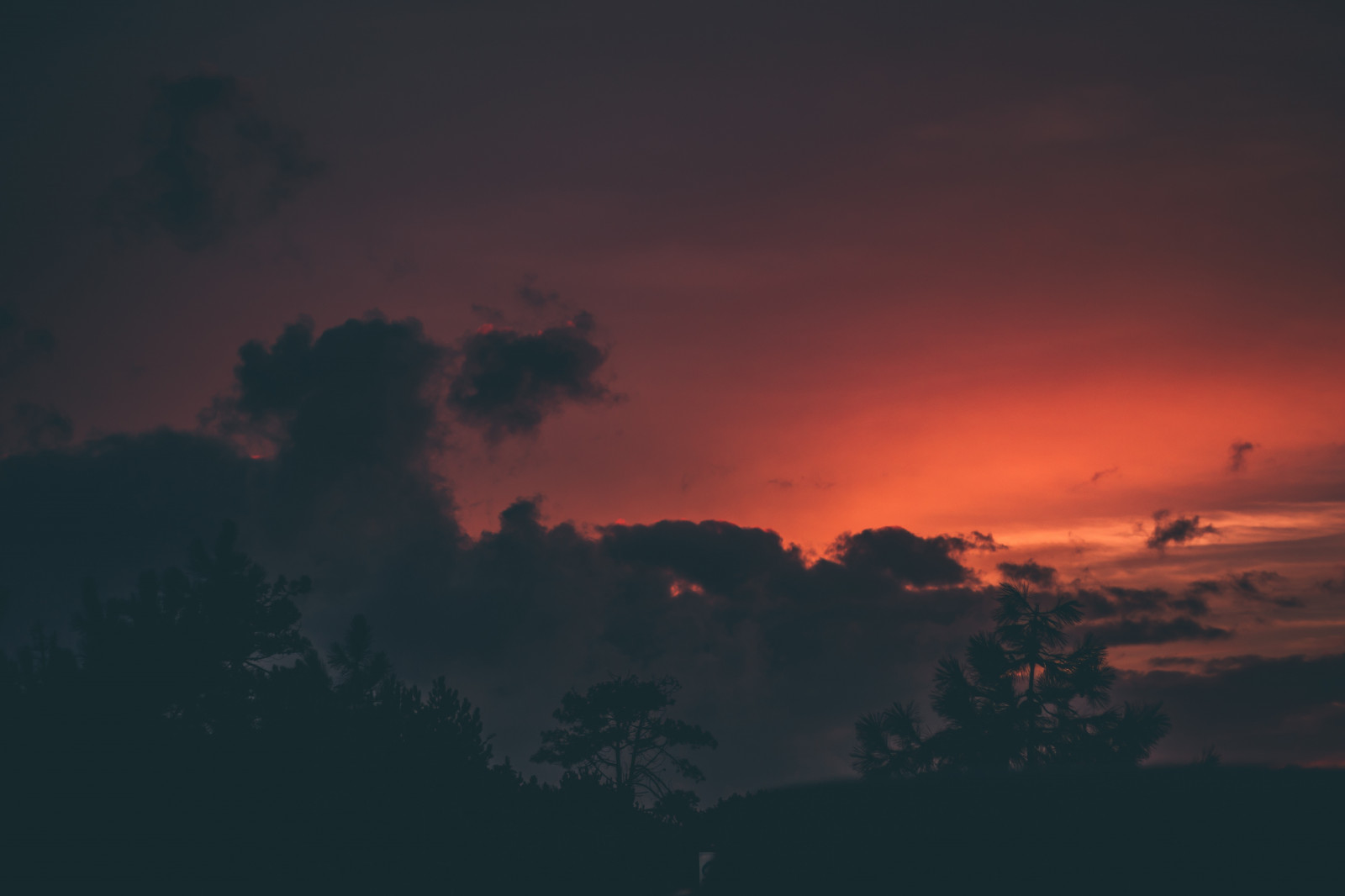 clouds, sunset, trees