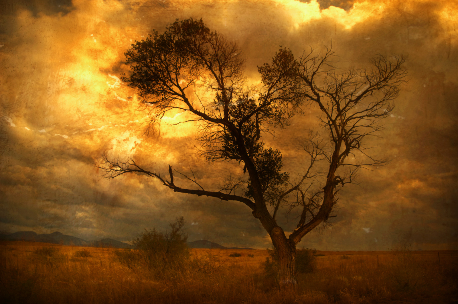 wallpaper : sunlight, snow, texture, explosion, dust,... Wallpaper : sunlight, landscape, forest, sunset, nature, clouds, branch ...