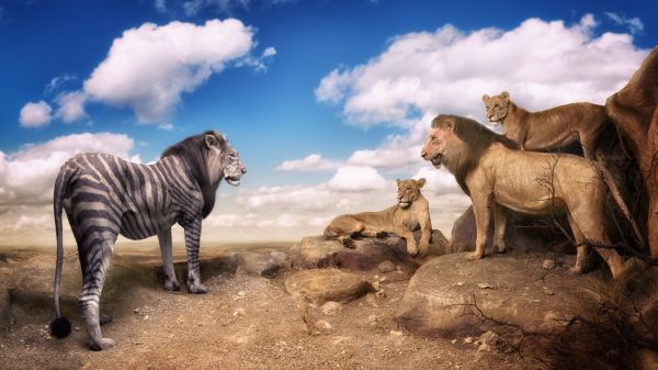trees, animals, rock, nature, digital art, humor