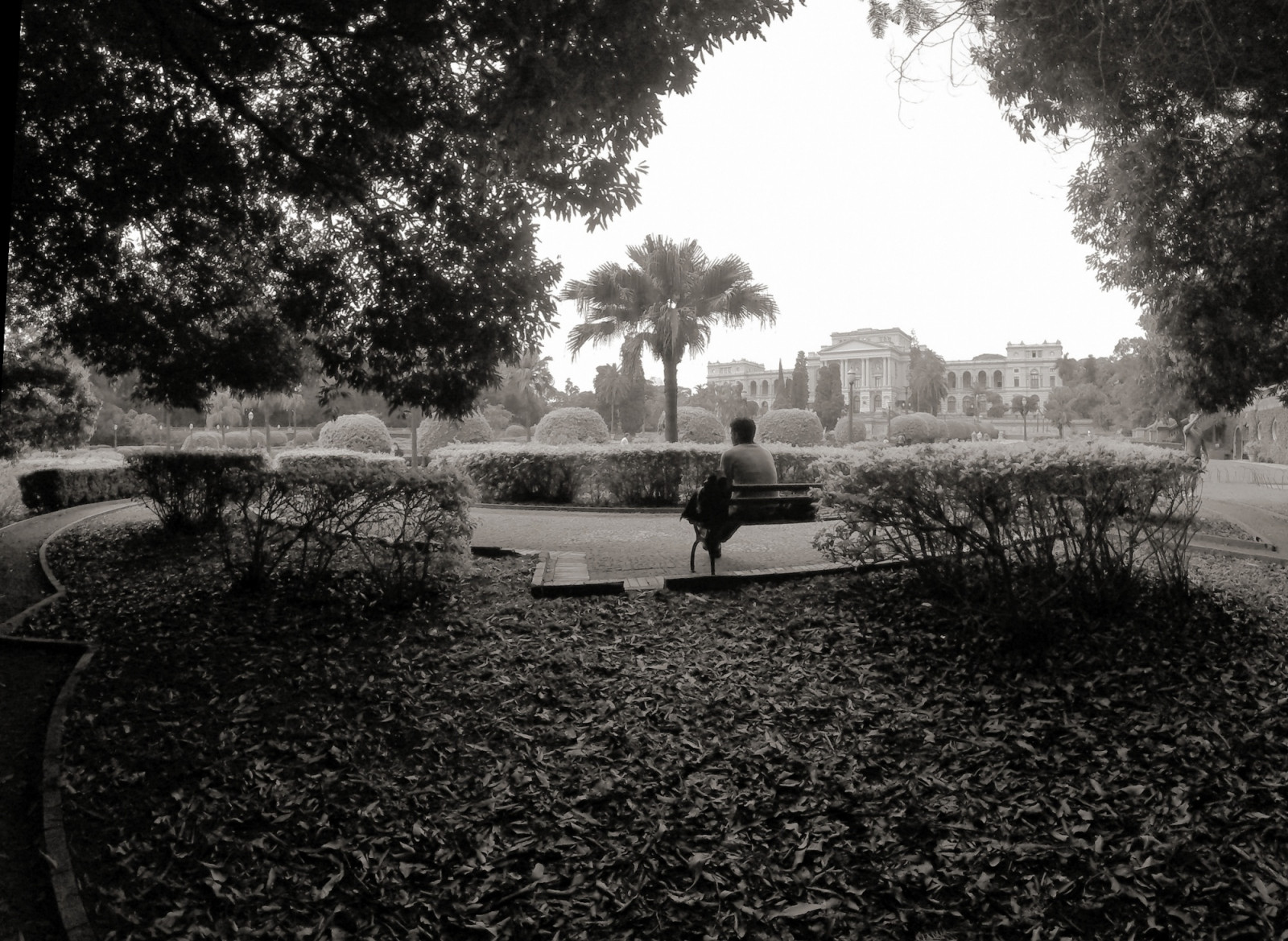 odraz, voda, Černá, Příroda, fotografie, Černý a bílý, strom, monochromatické fotografování, nebe, dřevina, fotografování, rostlina, list, černobílý, ráno, jev, slunečnímu záření, krajina, tráva, bayou, atmosféra, stín, večer, stock photography, mrak, park