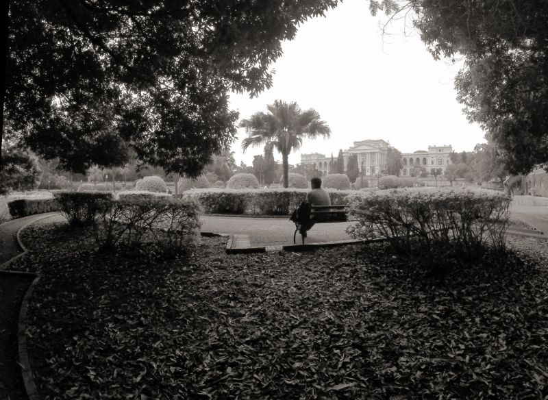 odraz,voda,Černá,Příroda,fotografie,Černý a bílý