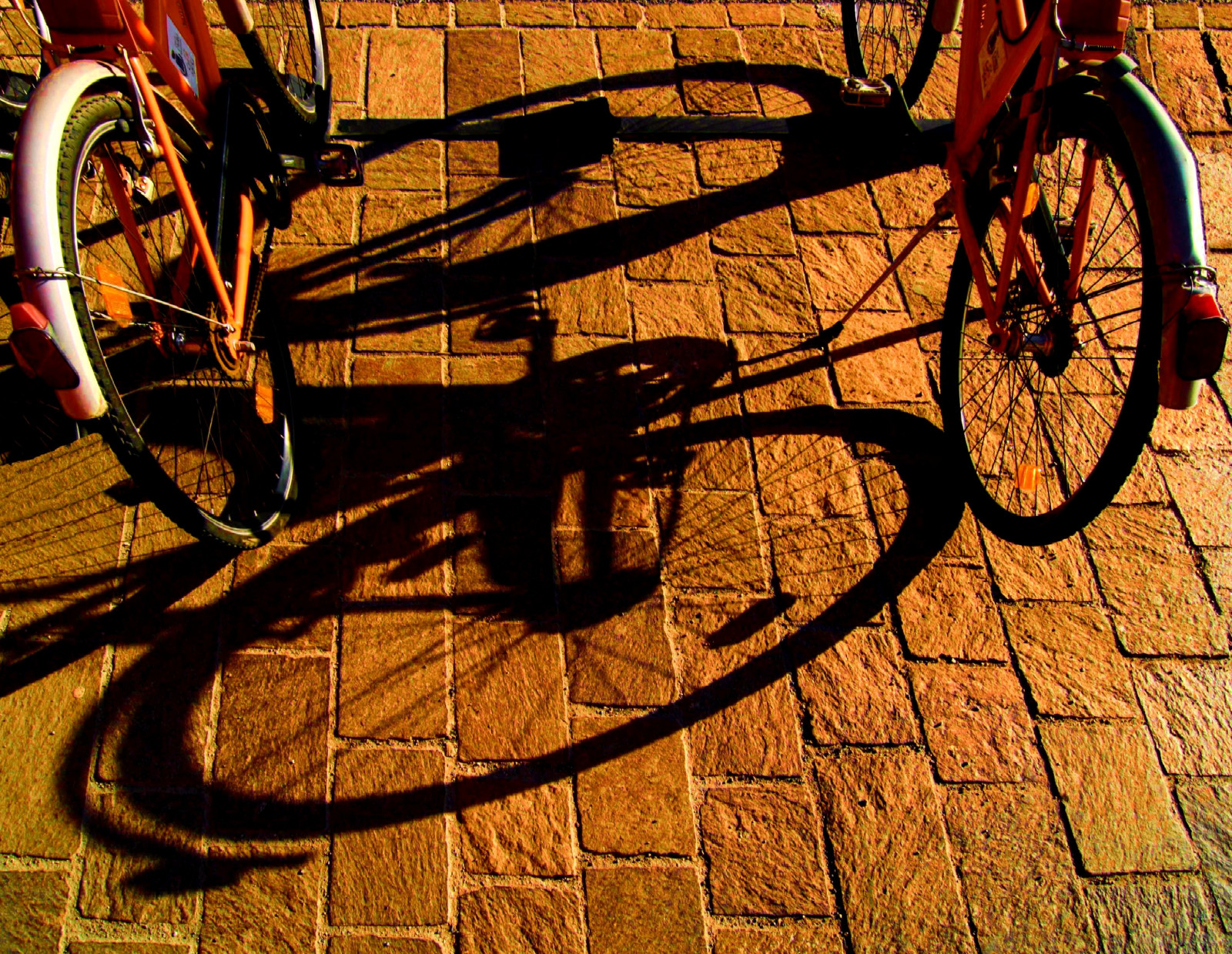 jízdní kolo, stín, vozidlo, slunce, 2012, kolo, kolo, podrážka, Ombra, cyklo cross, sportovní vybavení, silniční kolo, horské kolo, jízda zdarma, cyklo cross kolo, rám kola, bmx bike, cyklus sportu, cairomontenotte, jízdních kol motocross, biciclette, freestyle bmx