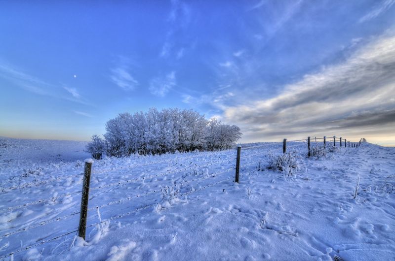 sunlight, trees, landscape, nature, sky, snow sunlight, trees, landscape, nature, sky, snow