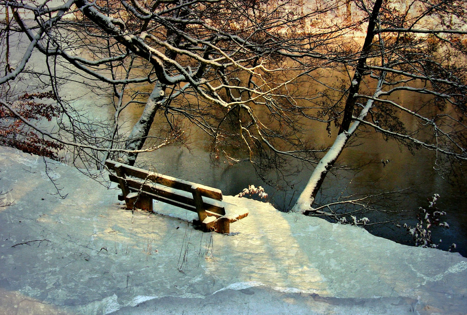 krajina, Jelen, zvěř, stvoření, voda, Příroda, odraz, sníh, zima, větev, led, mráz, řeka, textura, jaro, banka, zmrazení, neige, strom, zvíře, list, rostlina, natur, vodní tok, textur, Schnee, 100commentgroup, Hirsch, řada, roba66, naturalezza, effecte, IML ndle, Zvířata, b rensee, d hiver, hirsche, vodní zdroje, Rothirsche