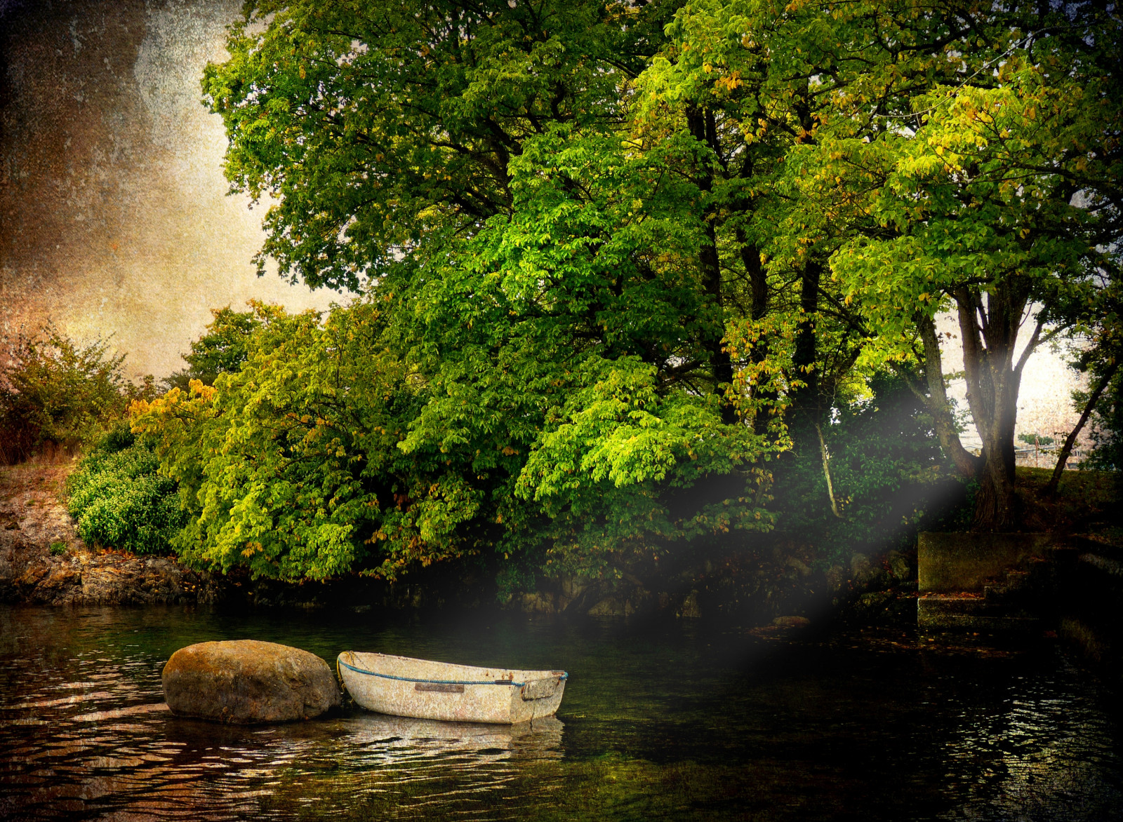 Wallpaper tree, green, landscape, bay, boat, calm, shore, skiff