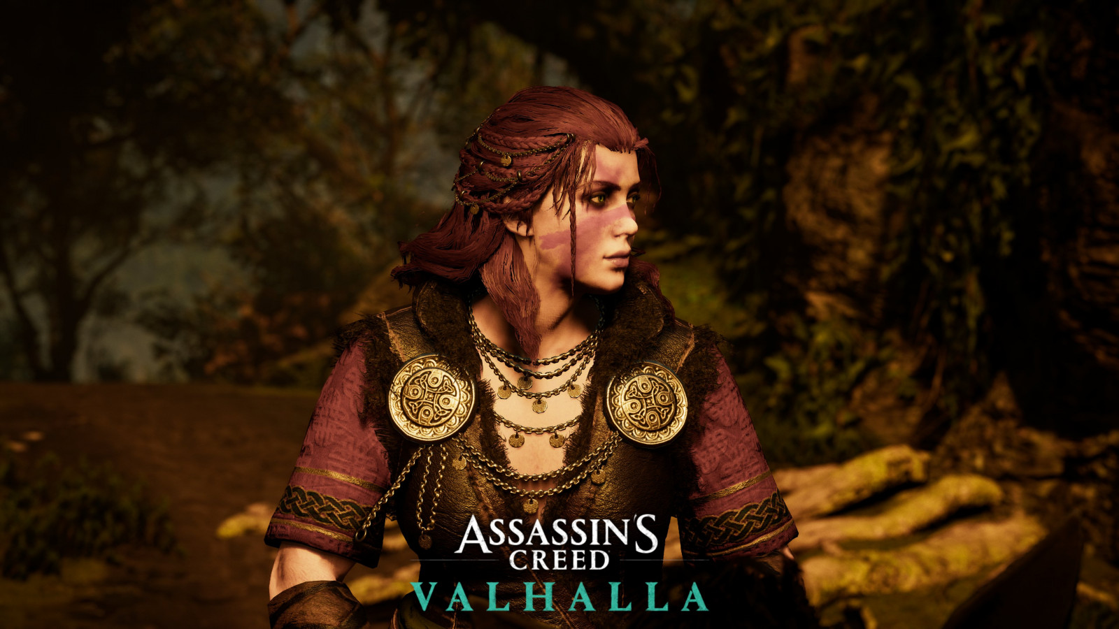 flash photography, halskæde, smykker, mode design, begivenhed, træ, mørke, pels, handske, tradition, mønster, mytologi, mode tilbehør, portrætfotografering, visual arts, cg artwork, historie, portræt, stamme, rustning