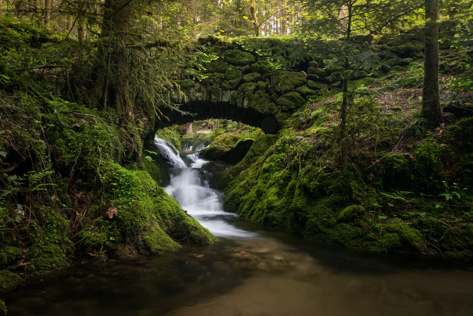 les, vodopád, voda, Příroda, řeka, údolí, divočina, džungle, proud, deštný prales, rokle, strom, podzim, vodní tok, Rychlý, zátoka, zálesí, Wasserfall, místo výskytu, přírodní prostředí, tělo z vody, prales, vodní prvek, 3000x2006 px