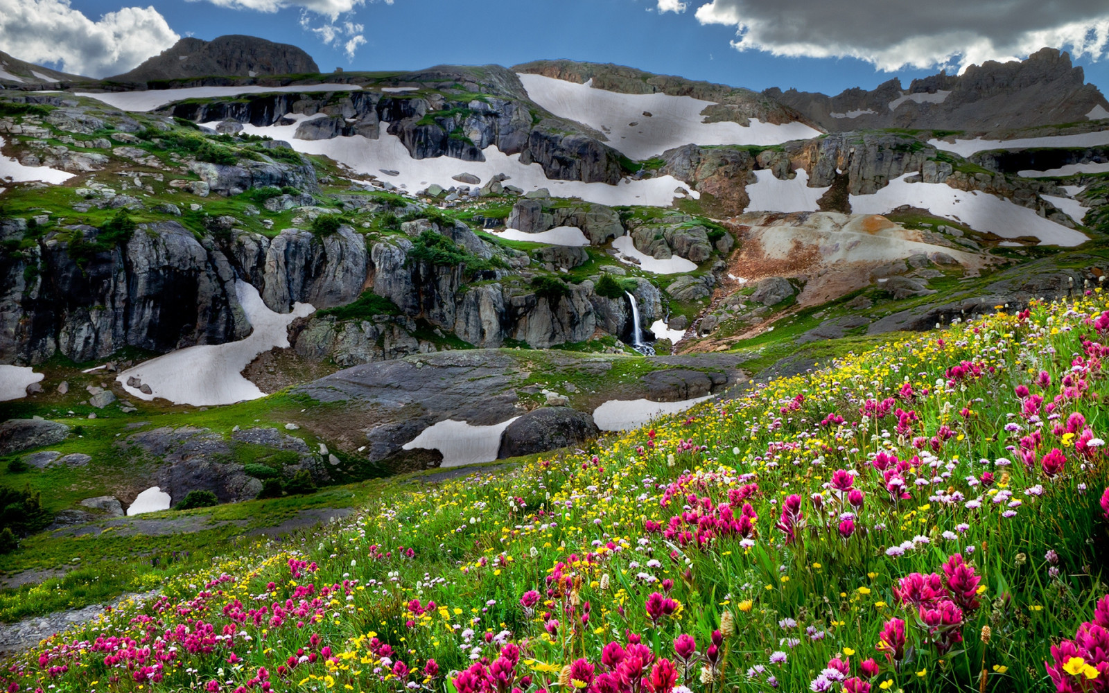 Wallpaper flowers, mountains, snow, relief, light, clouds, shadows