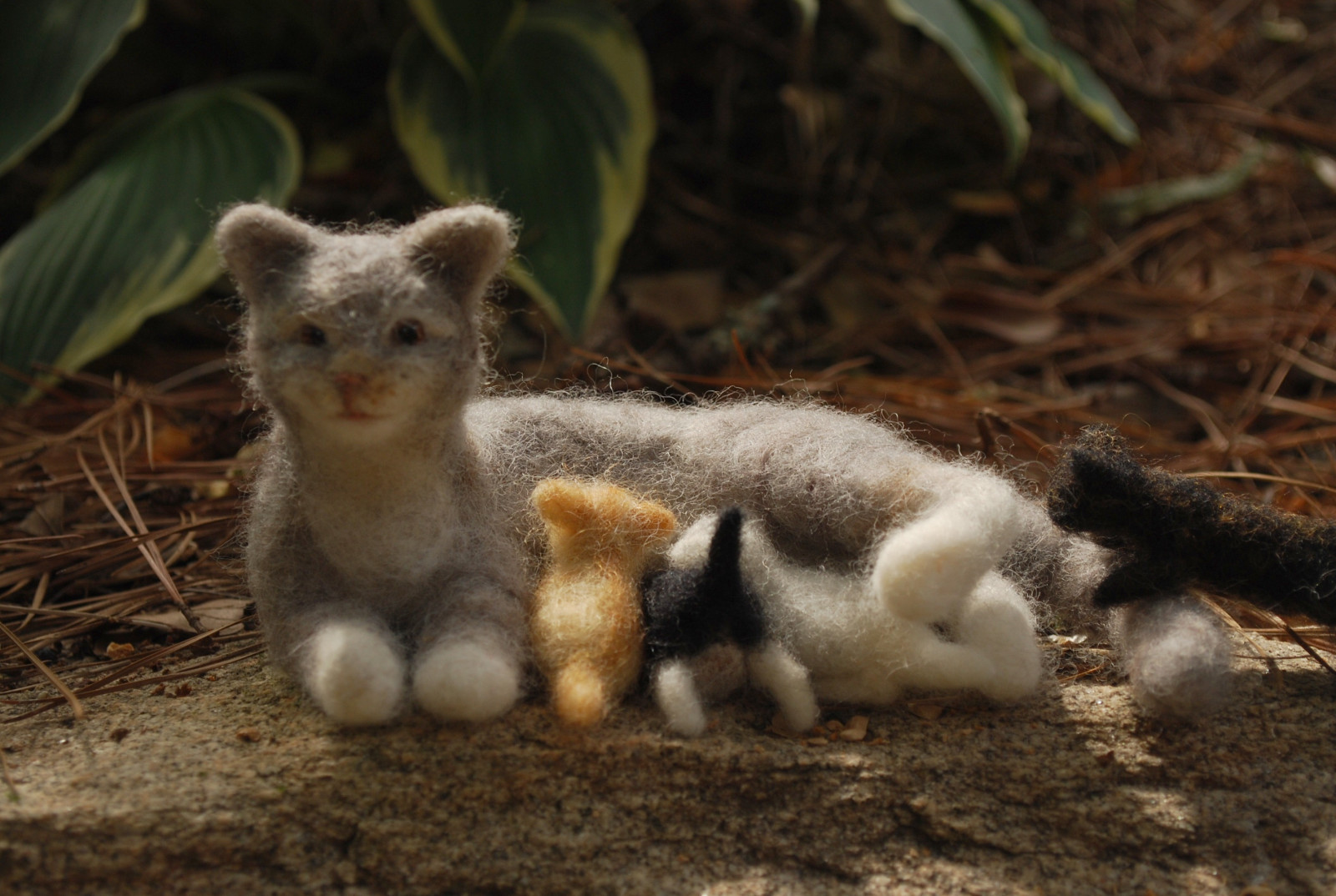 skulptur, KUNST, uld, dyr, dyr, filtet, kat, miniature, snak, filtning, killinger, Følte, fantasi, gato, neko, needlefelting, fiber, Gatto, ammende, nekochan, animalart, Filz, mommacat, needlefelted, wooliture, nassgefilzt, needlefeltedcats, rootcrop54, helenrogers