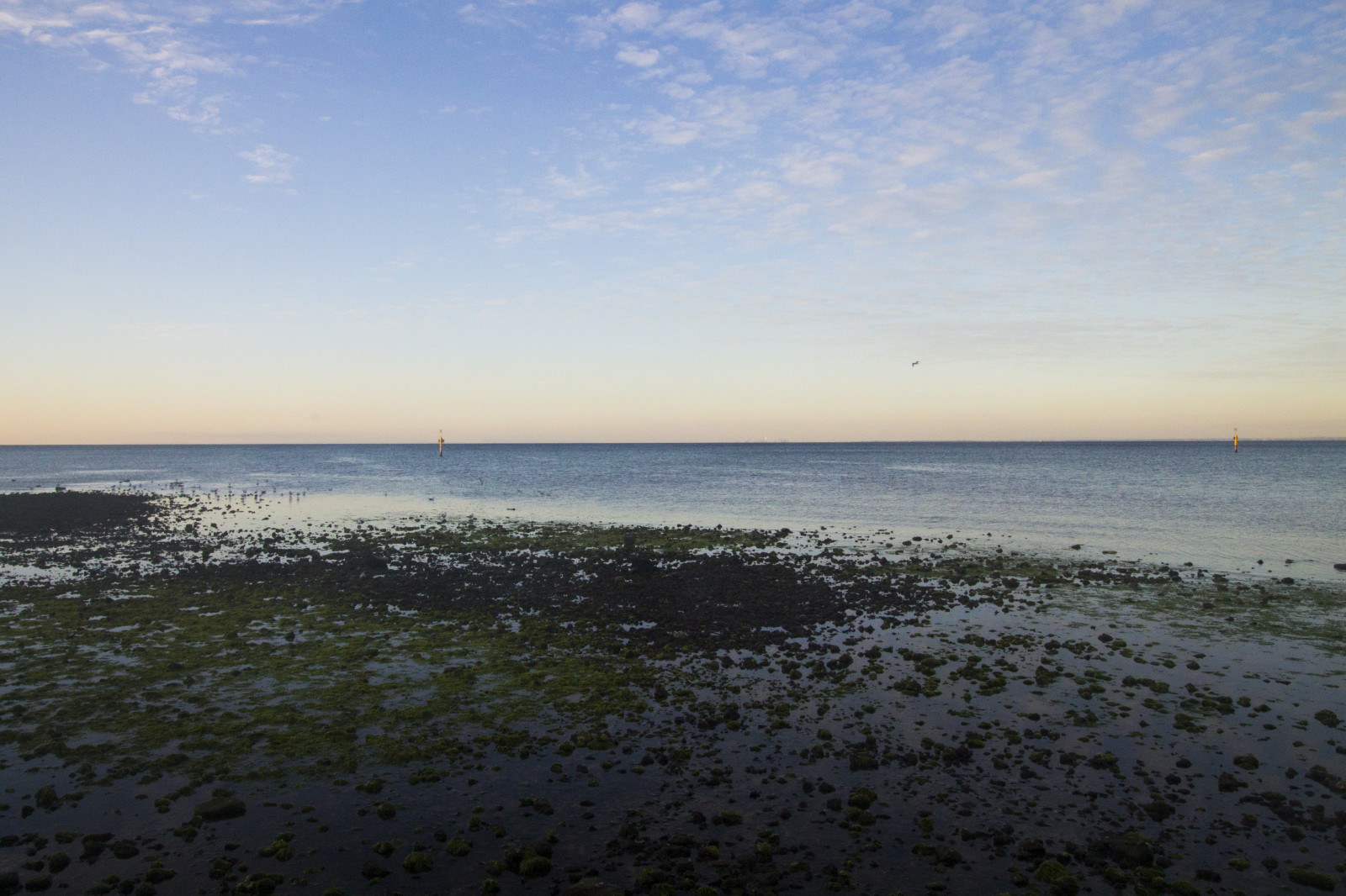 sollys, solnedgang, hav, Bugt, kyst, sand, himmel, strand, solopgang, aften, morgen, kyst, horisont, kappe, skumring, Australien, Victoria, ferie, vidvinkel, Sky, daggry, ocean, strande, bølge, Mornington, Mornington-halvøen, telephotolens, krop af vand, vind-bølge