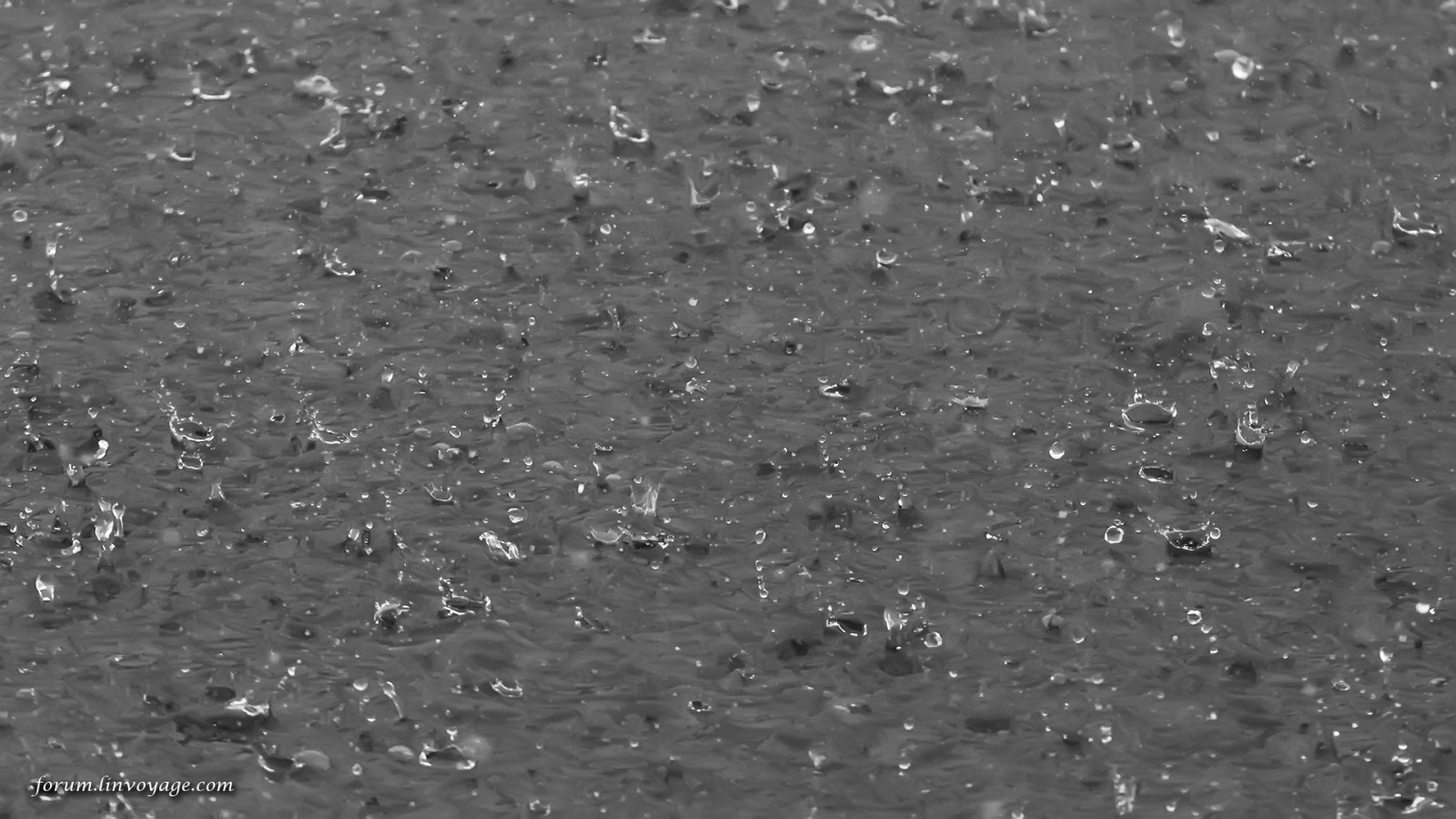 nero, nave, barca, monocromo, mare, acqua, natura, pioggia, Luna, struttura, yacht, Tailandia, asfalto, Marina, giorno, tempo metereologico, all'aperto, far cadere, oceano, porta, pavimento, linea, gocciolina, Pattaya, Krabi, Samui, Phuket, phuketian, vela, phuketphotographernet, forumlinvoyagecom, suolo, bianco e nero, fotografia in bianco e nero, pavimentazione, manto stradale