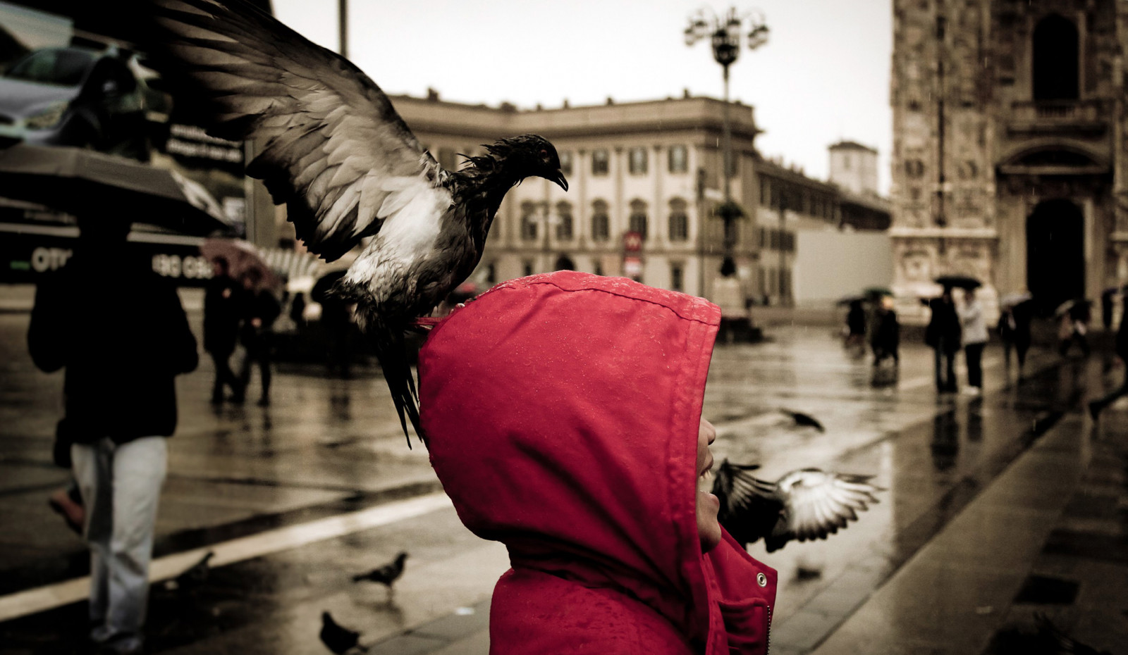 město, ulice, Červené, silnice, hodinky, infrastruktura, pěší, filmové postavy, strom, dívka, zábava, člověk, tapeta na zeď, dav, obraz, momentka, objektů, urban area, obratlovců, Destop fotografie, Květinové obrazy, Květinové tapety, Zaměřit obrázky, Tapety zdarma, Hd obrázky, Tapety na plochu, Ženy tapety, 2673x1554 px