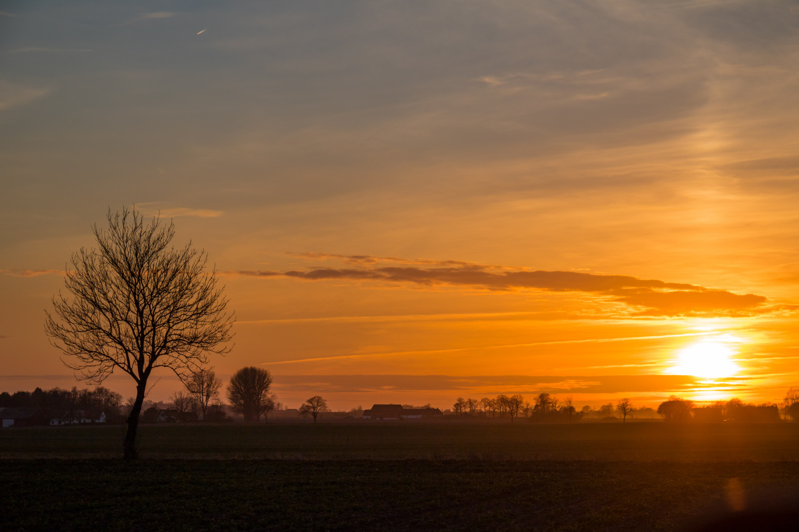 slunečnímu záření, krajina, západ slunce, nebe, pole, silueta, svítání, večer, ráno, slunce, horizont, atmosféra, soumrak, mrak, svítání, nebe, solnedg ng, siluett, venkov, moln, landsbygd, landskap, atmosférický jev, odlesk, červená obloha v dopoledních hodinách