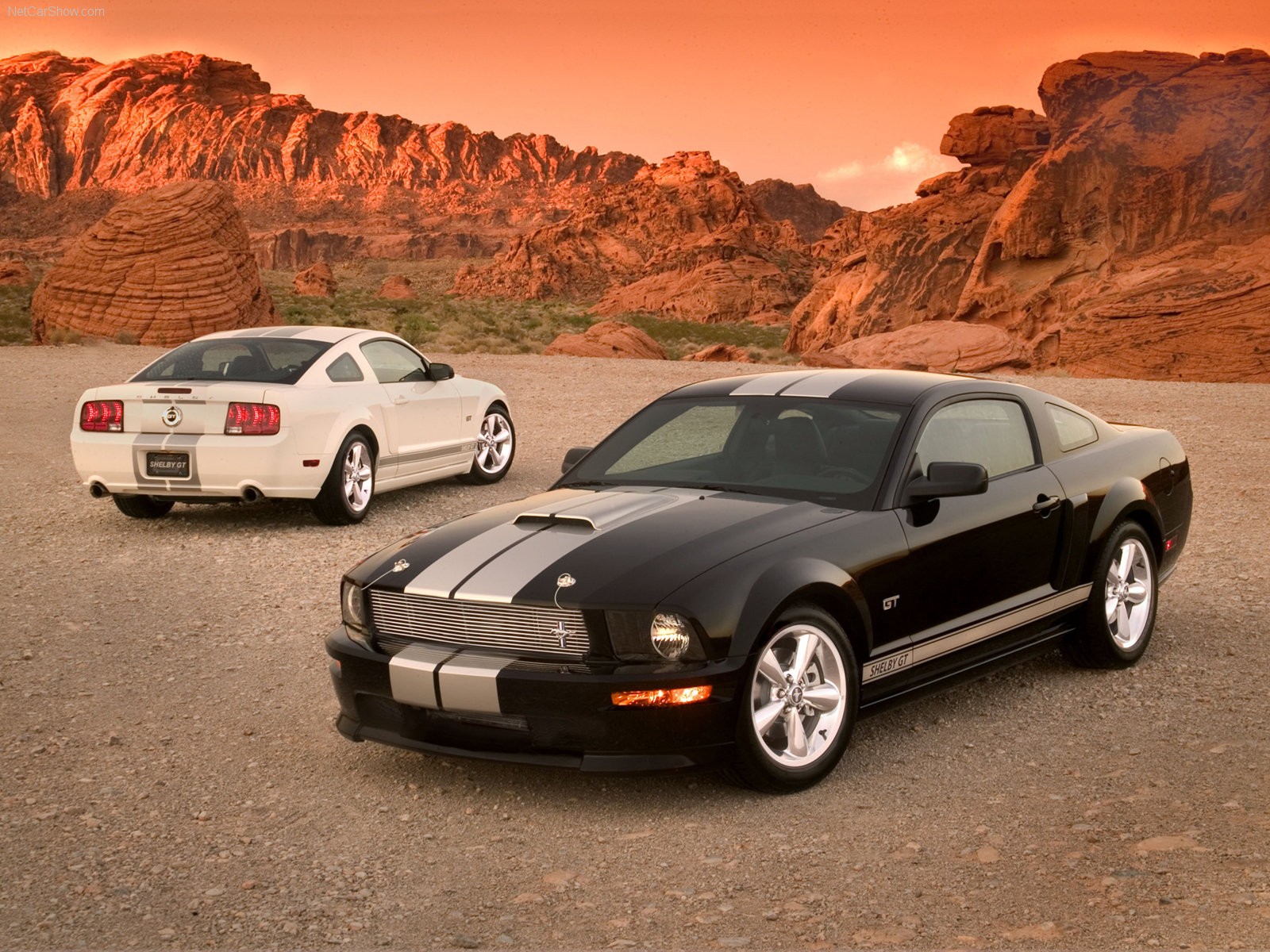 auto, veicolo, auto sportiva, Guado, coupe, Convertibile, macchina di spettacolo, ruota, veicoli terrestri, design automobilistico, marca di automobile, Mustang Shelby, muscle car