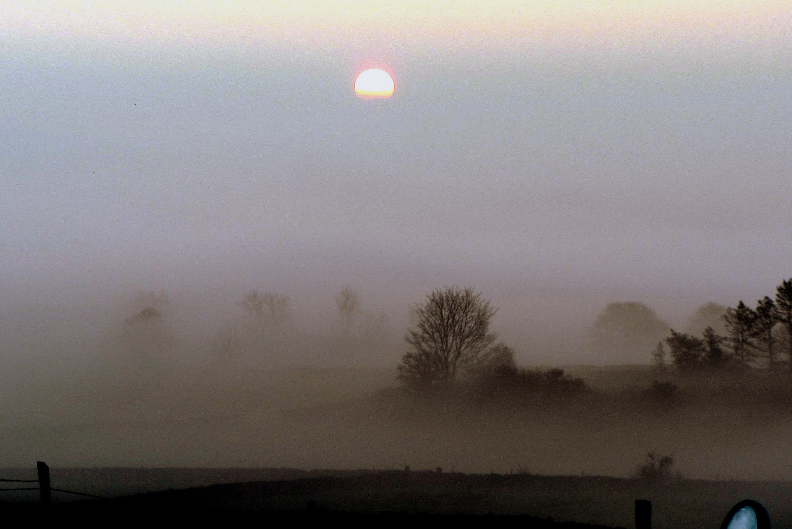 slunečnímu záření, krajina, západ slunce, nebe, tygr, svítání, uklidnit, večer, ráno, mlha, slunce, horizont, atmosféra, soumrak, práce, opar, strom, mlha, svítání, domů, Sheffield, počítač tapeta, Atmosféra Země, astronomický objekt, motorka, jev, ekoregion, March2012, Wayhomefromwork, Triumftiger, Explore141, Na cestě do domova