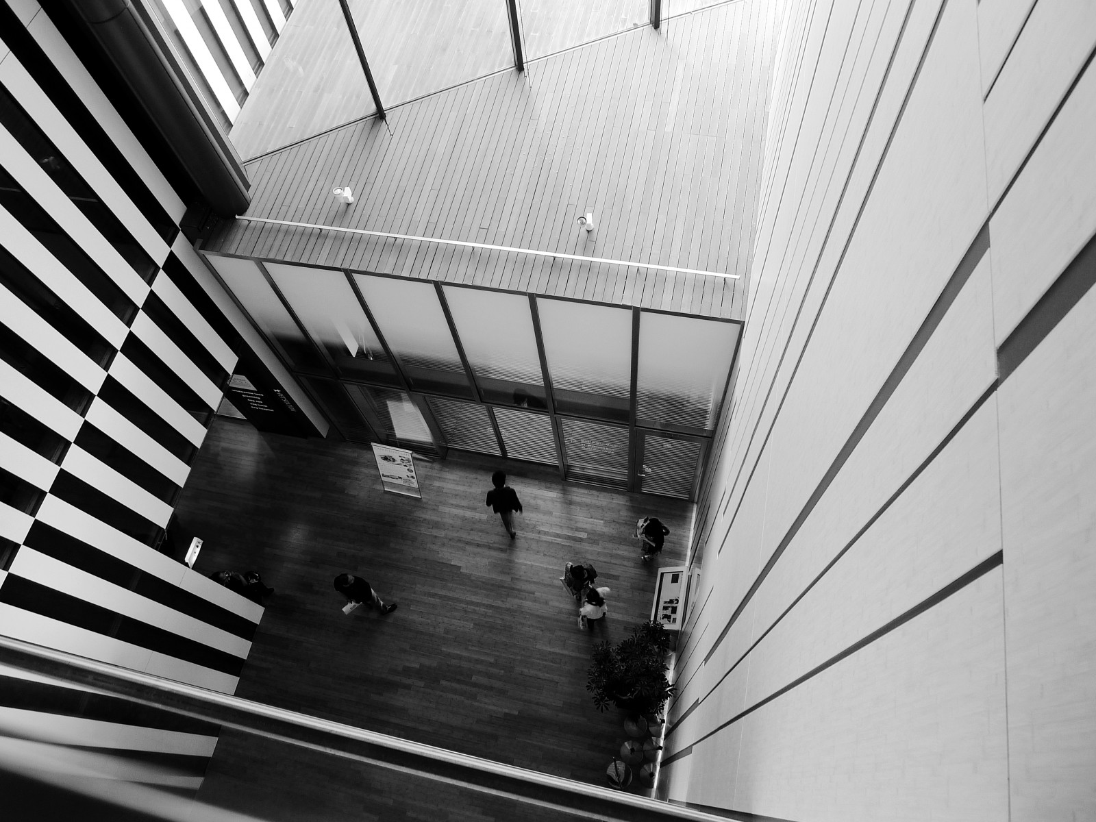 hvid, sort, monokrom, arkitektur, fotografering, symmetri, geometri, liv, trappe, Indretning, struktur, vinkel, lys, bw, form, design, linje, sort og hvid, monokrom fotografering, dagslys