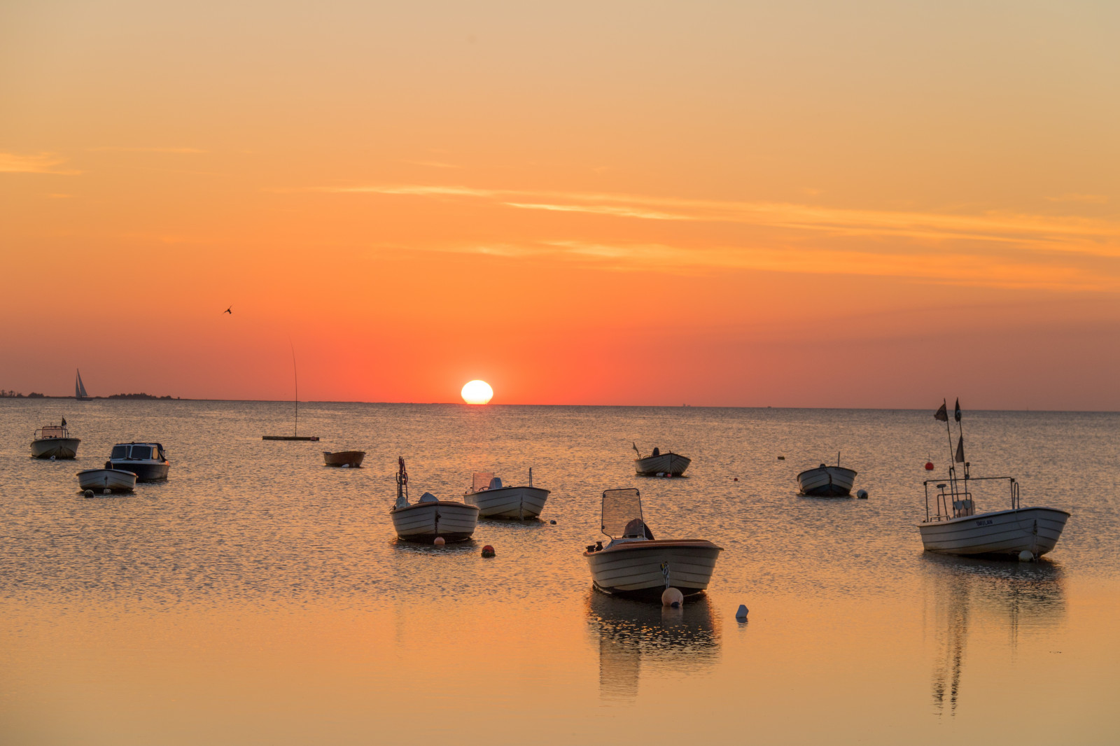 loď, západ slunce, moře, záliv, voda, pobřeží, nebe, pláž, svítání, večer, ráno, pobřeží, horizont, soumrak, slunce, mrak, svítání, oceán, zlatá hodina, vlna, nebe, solnedg ng, vatten, fiskehoddorna, hav, b t, moln, h llviken, exif modelu canoneos760d, geocountry, Kamera aby kánon, geocity, Model fotoaparátu canoneos760d, geostate, geolocation, EXIF čočka efs18200mmf3556is, EXIF otvor 56, exif aby kánon, EXIF isospeed 100, exif focallength 70mm, gyllenetimmen, odlesk