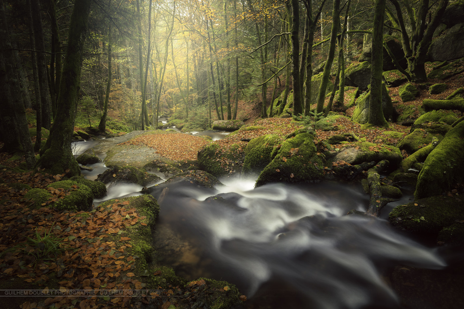 slunečnímu záření, les, vodopád, Příroda, řeka, Kánon, divočina, džungle, proud, deštný prales, strom, podzim, list, sezóna, kaskáda, automne, canoneos6d, auvergne, zálesí, Riviere, místo výskytu, přírodní prostředí, ekosystém, opadavý, vodní prvek, canon1635f4isusm